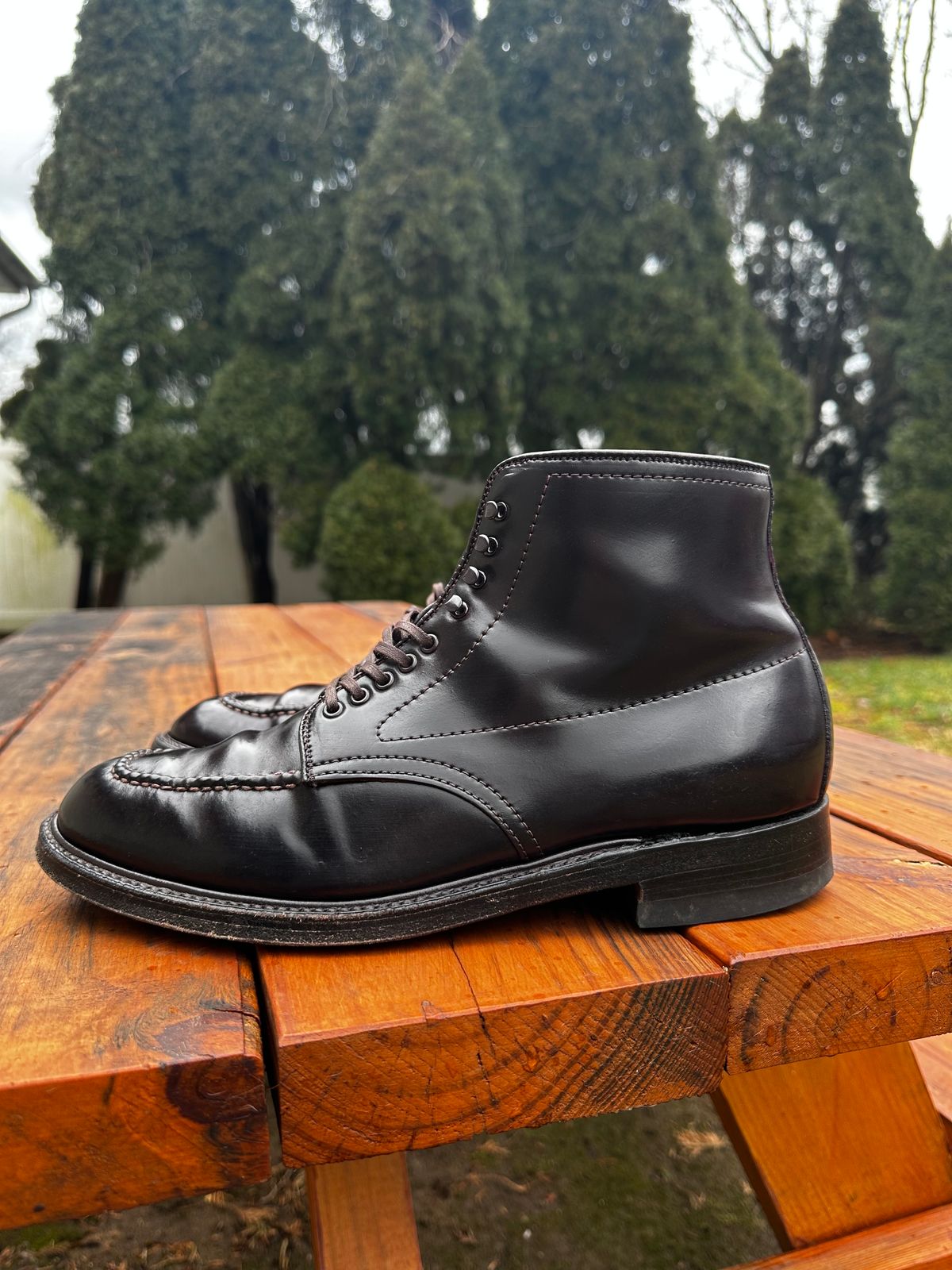 Photo by 8loop on February 2, 2024 of the Alden Indy Boot in Horween Color 8 Shell Cordovan.