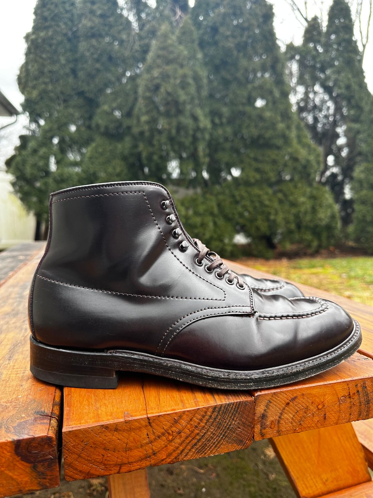 Photo by 8loop on February 2, 2024 of the Alden Indy Boot in Horween Color 8 Shell Cordovan.
