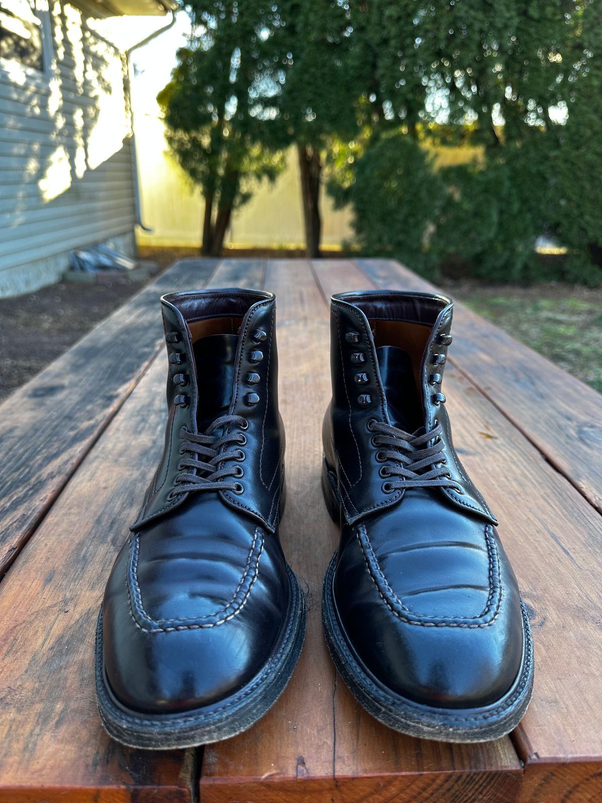 Photo by 8loop on March 3, 2024 of the Alden Indy Boot in Horween Color 8 Shell Cordovan.