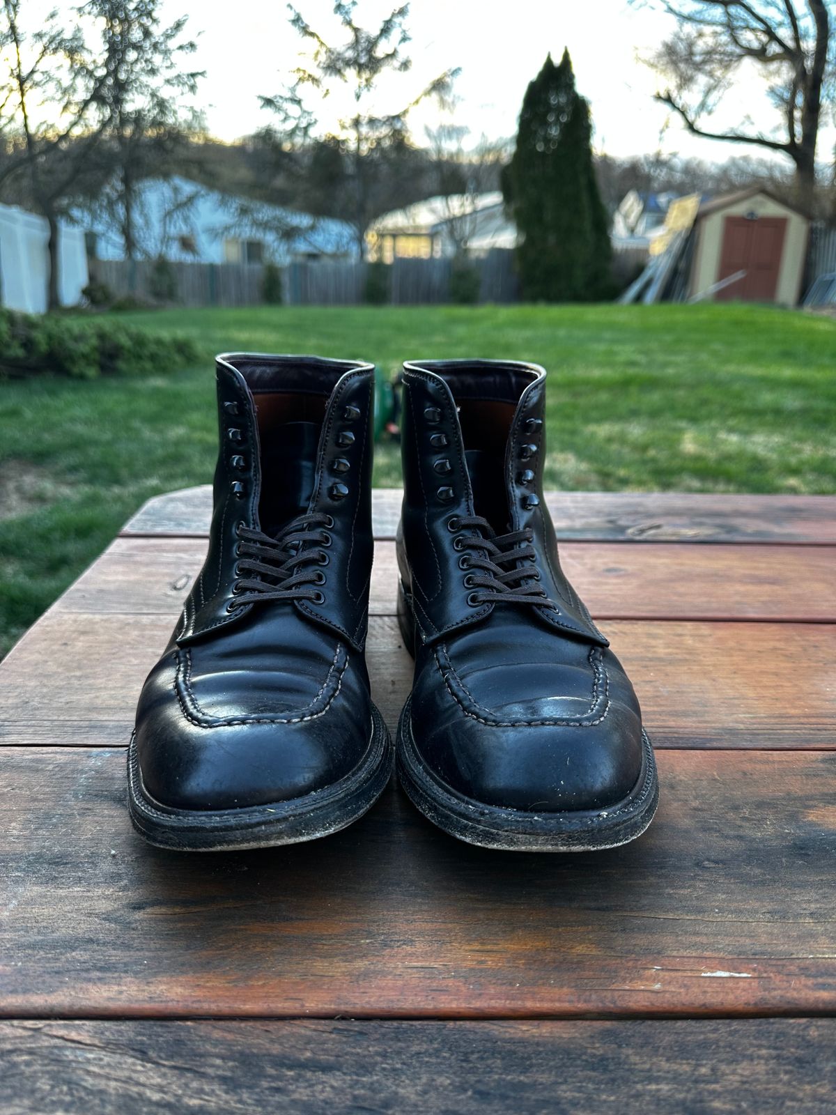 Photo by 8loop on April 5, 2024 of the Alden Indy Boot in Horween Color 8 Shell Cordovan.