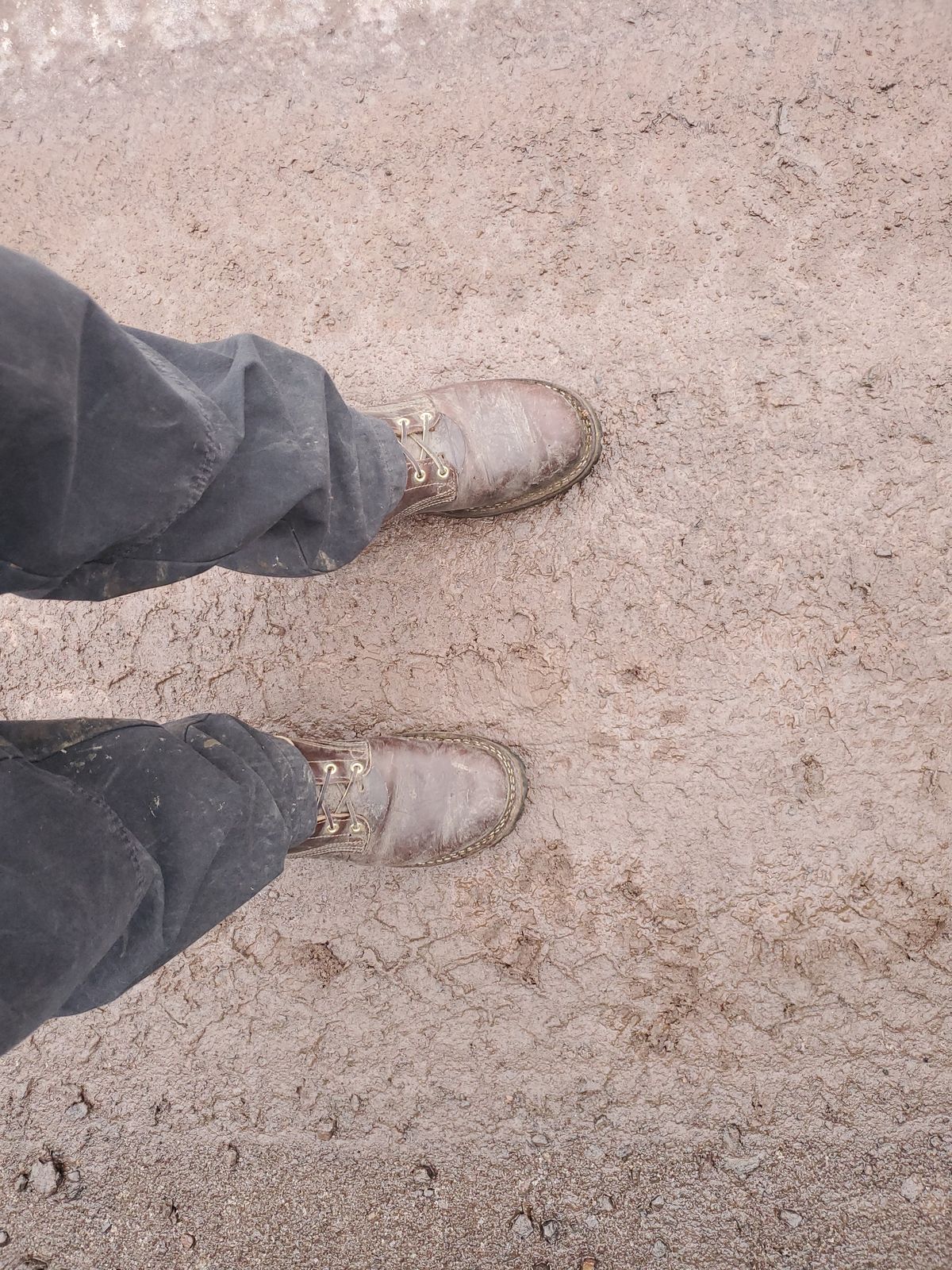 Photo by tdoellman on December 16, 2023 of the Nicks MTO in Horween Brown Chromexcel.
