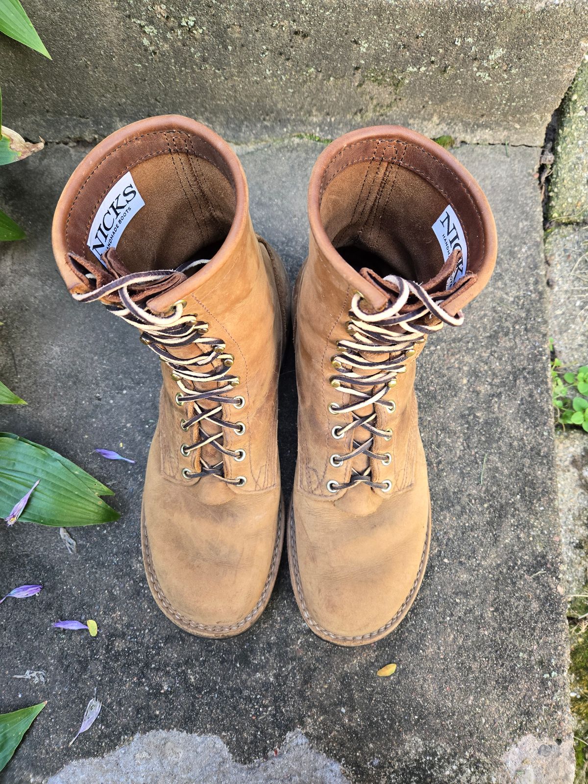 Photo by tdoellman on October 1, 2025 of the Nicks MTO in Seidel WeatherShield Brown.