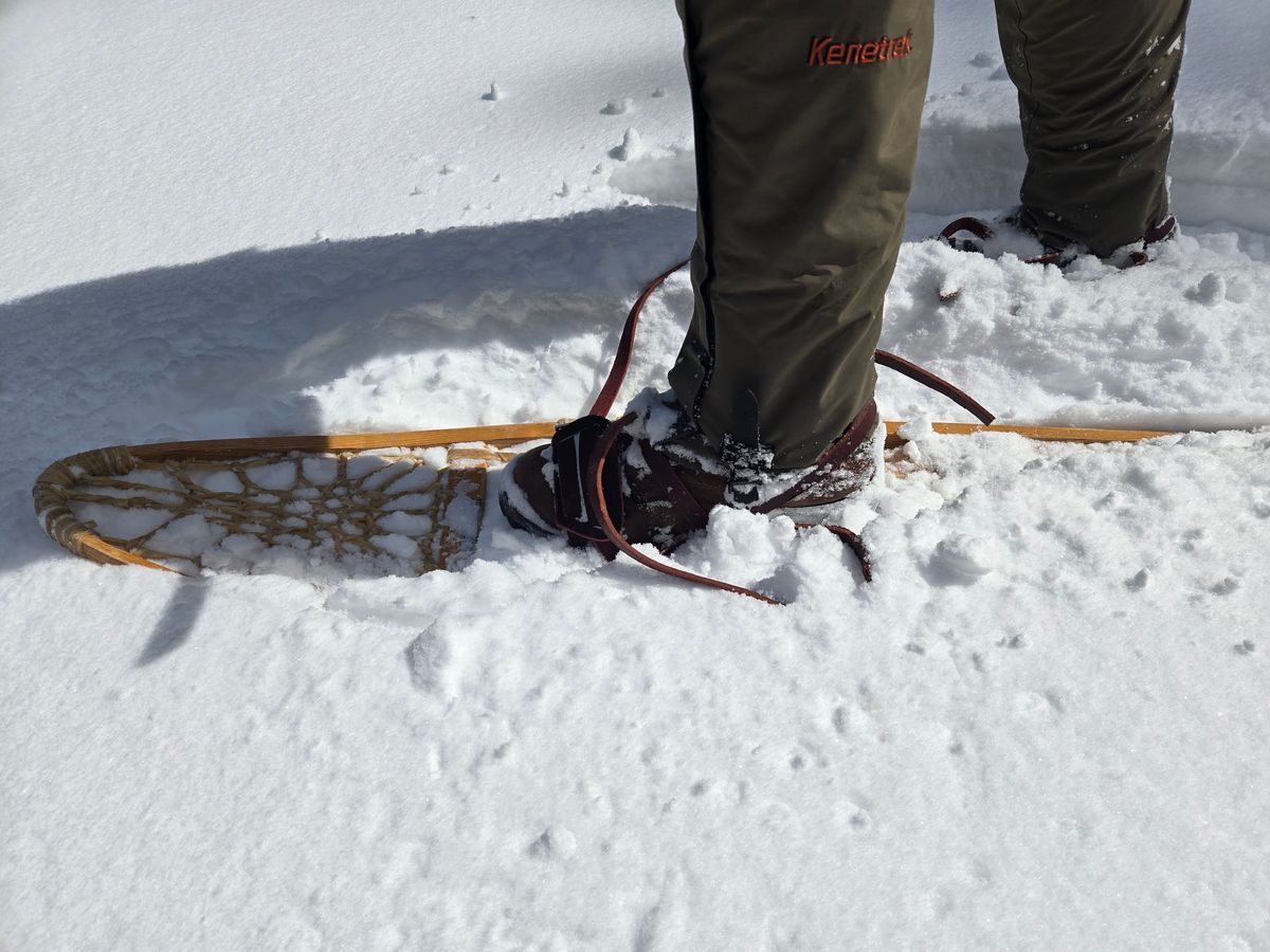 Photo by tdoellman on March 17, 2026 of the Nicks MTO in Seidel WeatherShield Brown.