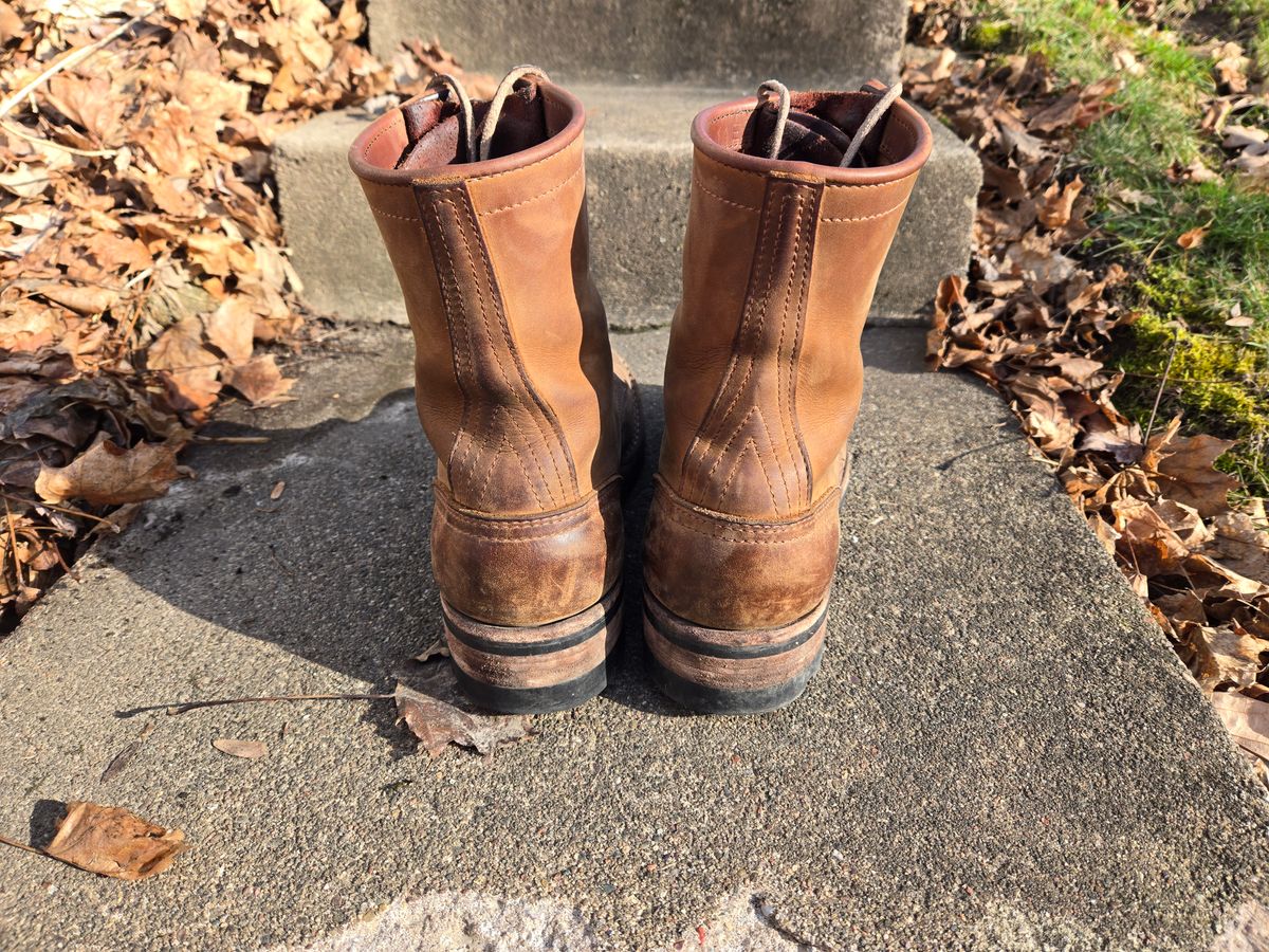 Photo by tdoellman on April 5, 2026 of the Nicks MTO in Seidel WeatherShield Brown.