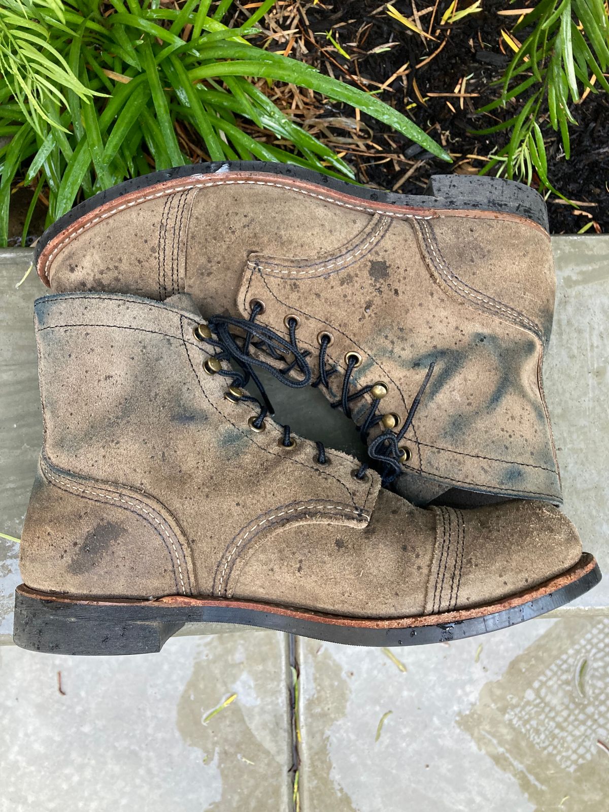 Photo by buellrider on April 5, 2024 of the Red Wing Iron Ranger in S.B. Foot Slate Muleskinner.