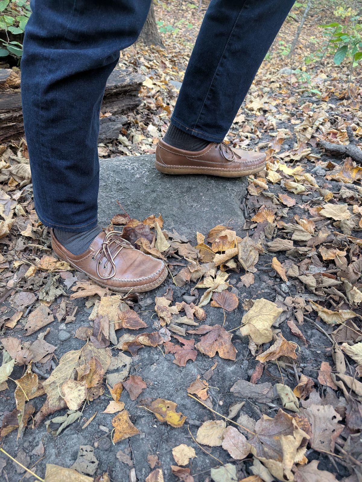 Photo by timelesstough on October 19, 2025 of the Quoddy Grizzly Moc in Maryam Fango Horsebutt.