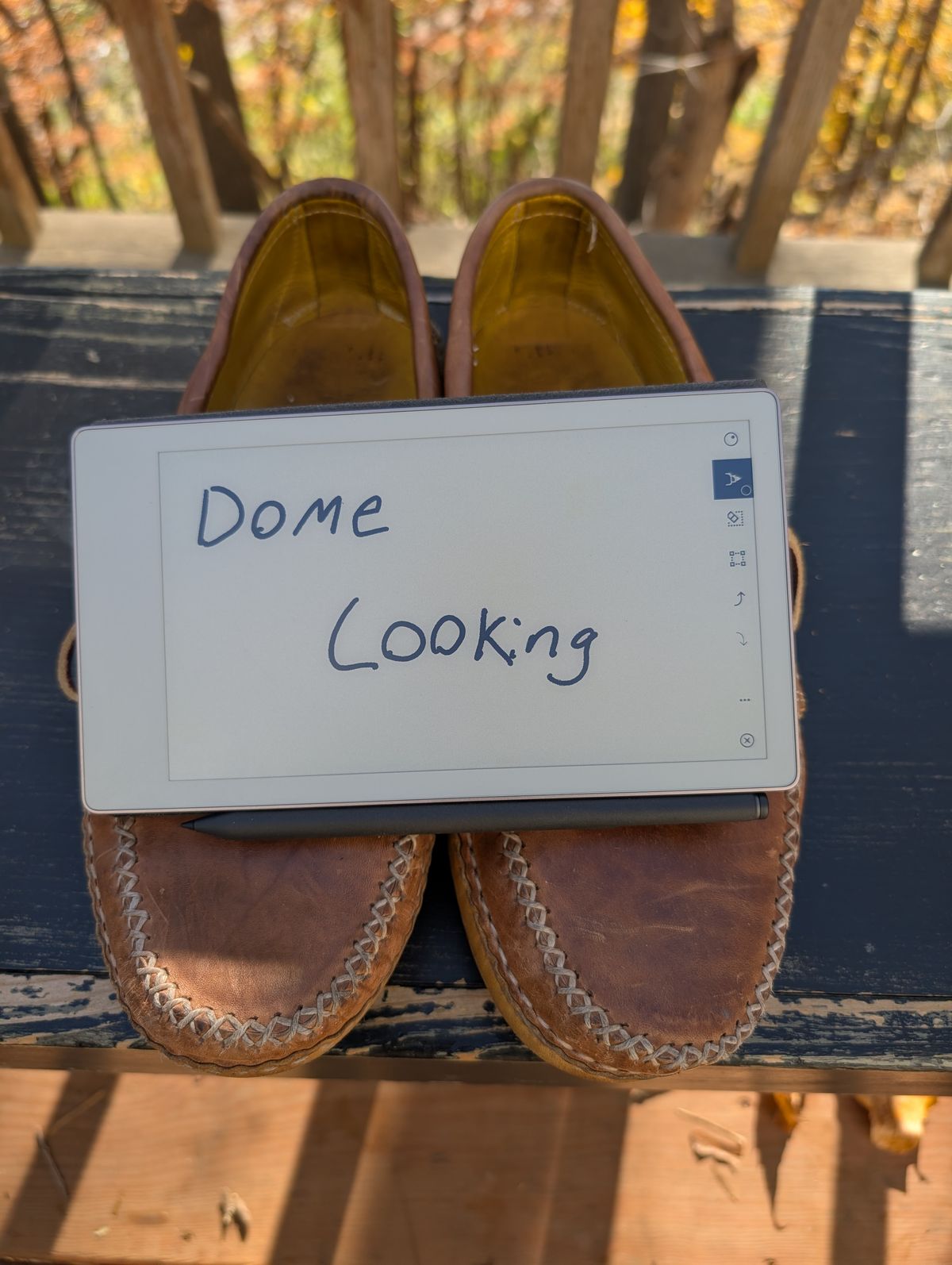 Photo by timelesstough on November 3, 2025 of the Quoddy Grizzly Moc in Maryam Fango Horsebutt.