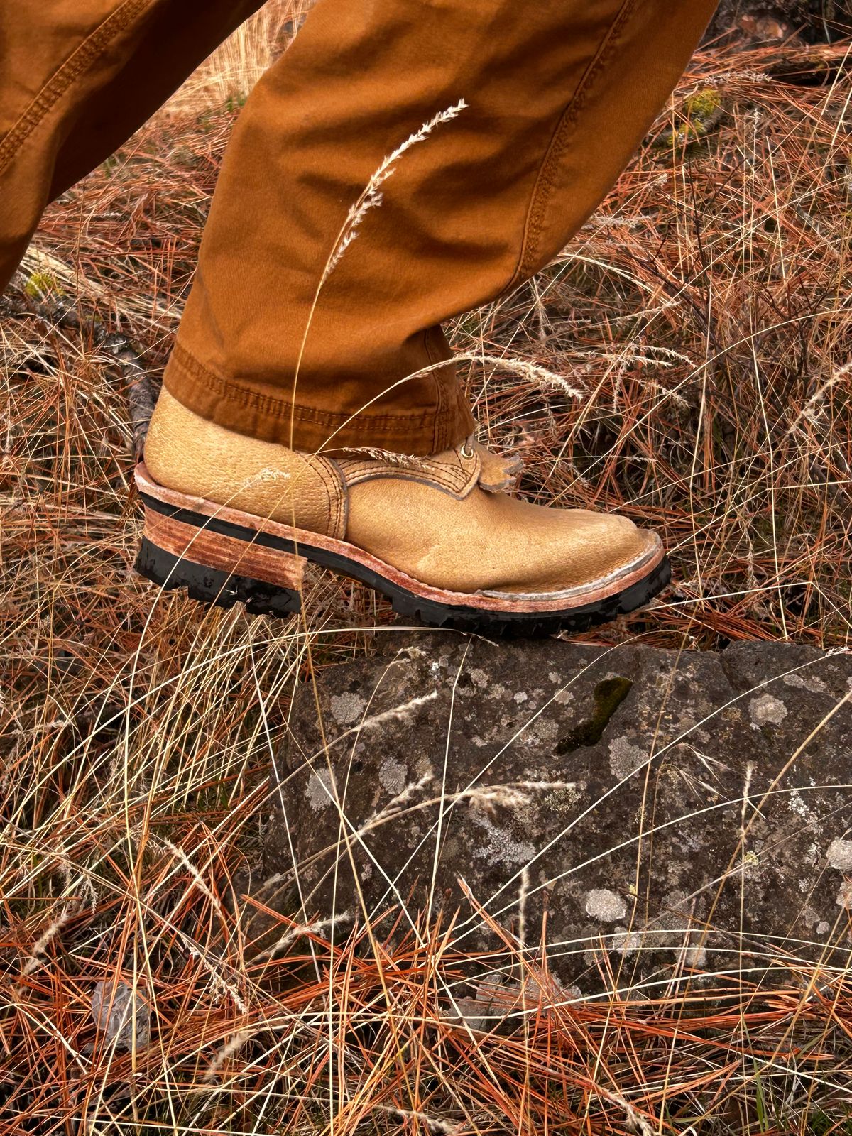 Photo by lmeinzinger on November 2, 2025 of the Self-Made Custom Model in Saddle Tan Boar.