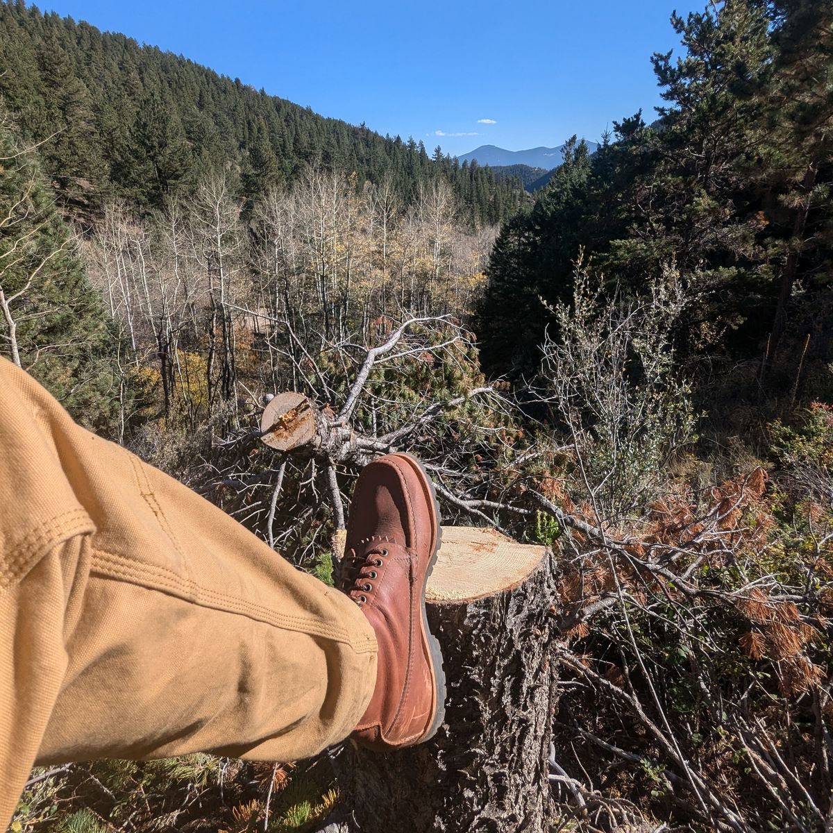 Photo by towcars on October 5, 2024 of the Russell Moccasin Co. Backcountry in Walnut Timberjack.