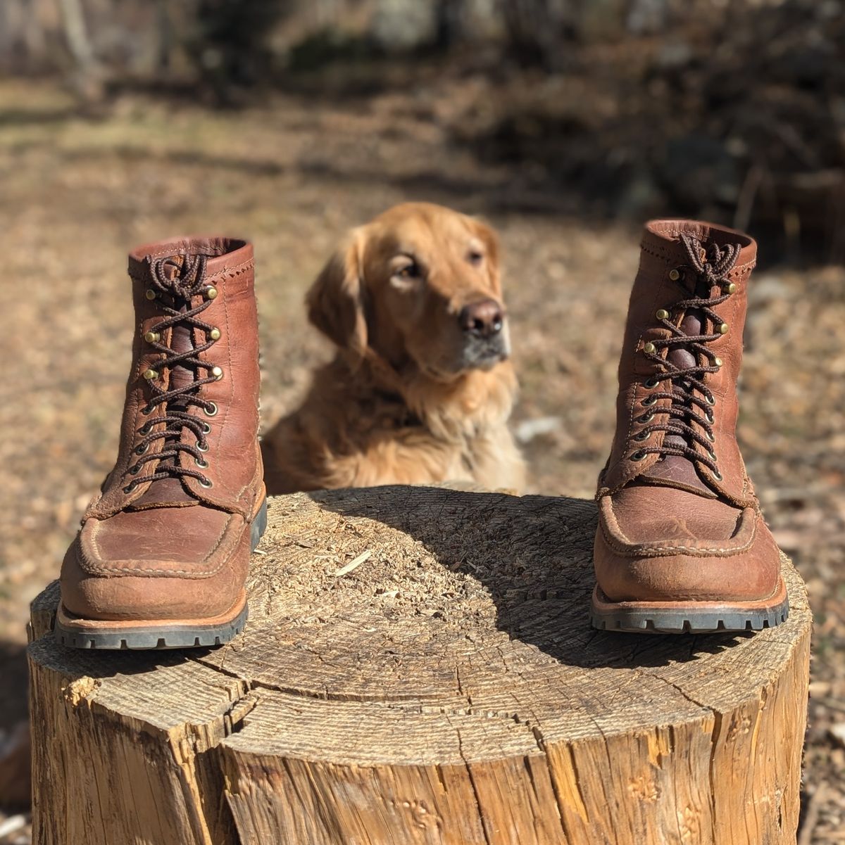 Photo by towcars on November 1, 2024 of the Russell Moccasin Co. Backcountry in Walnut Timberjack.