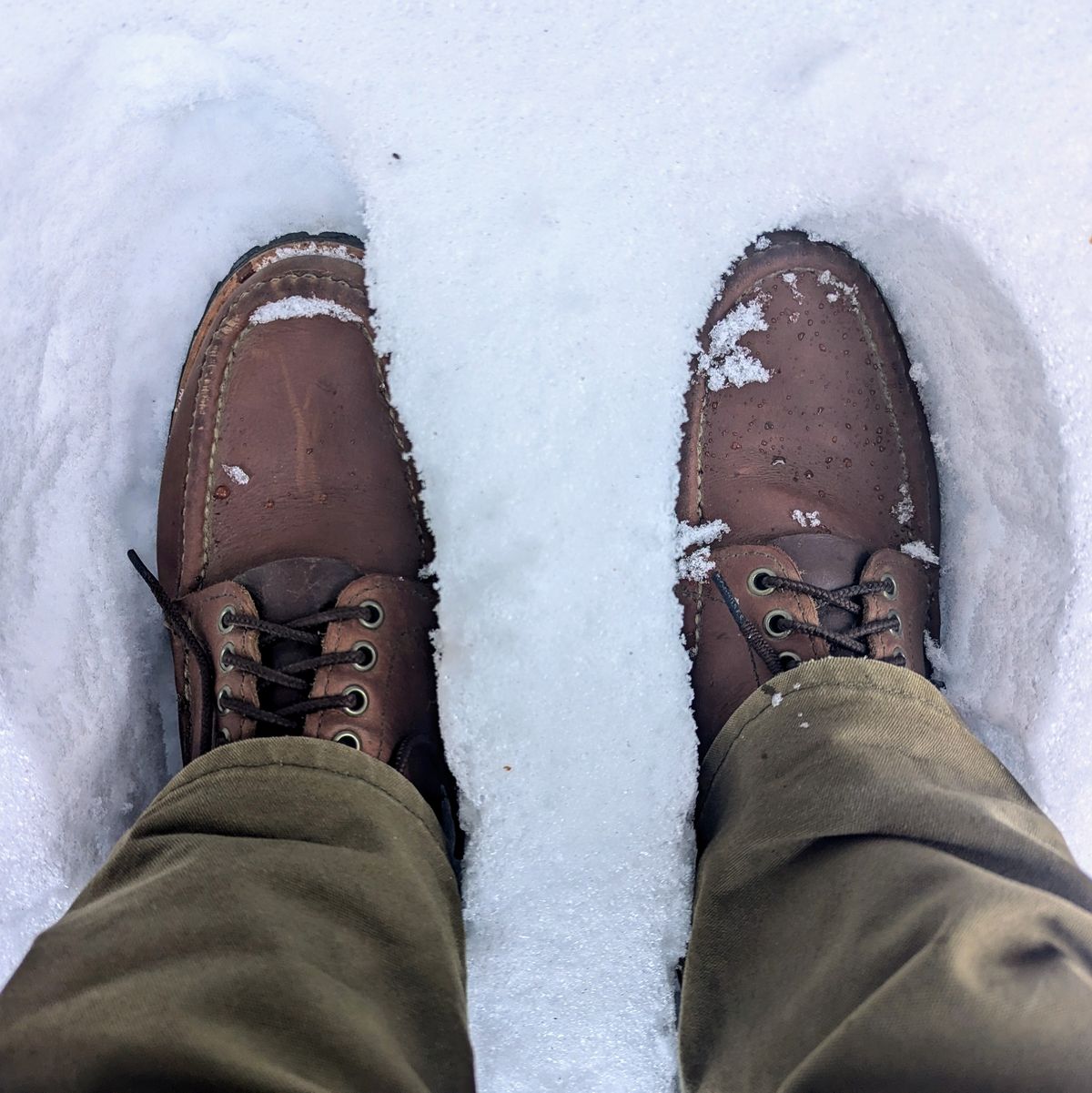Photo by towcars on November 10, 2024 of the Russell Moccasin Co. Backcountry in Walnut Timberjack.