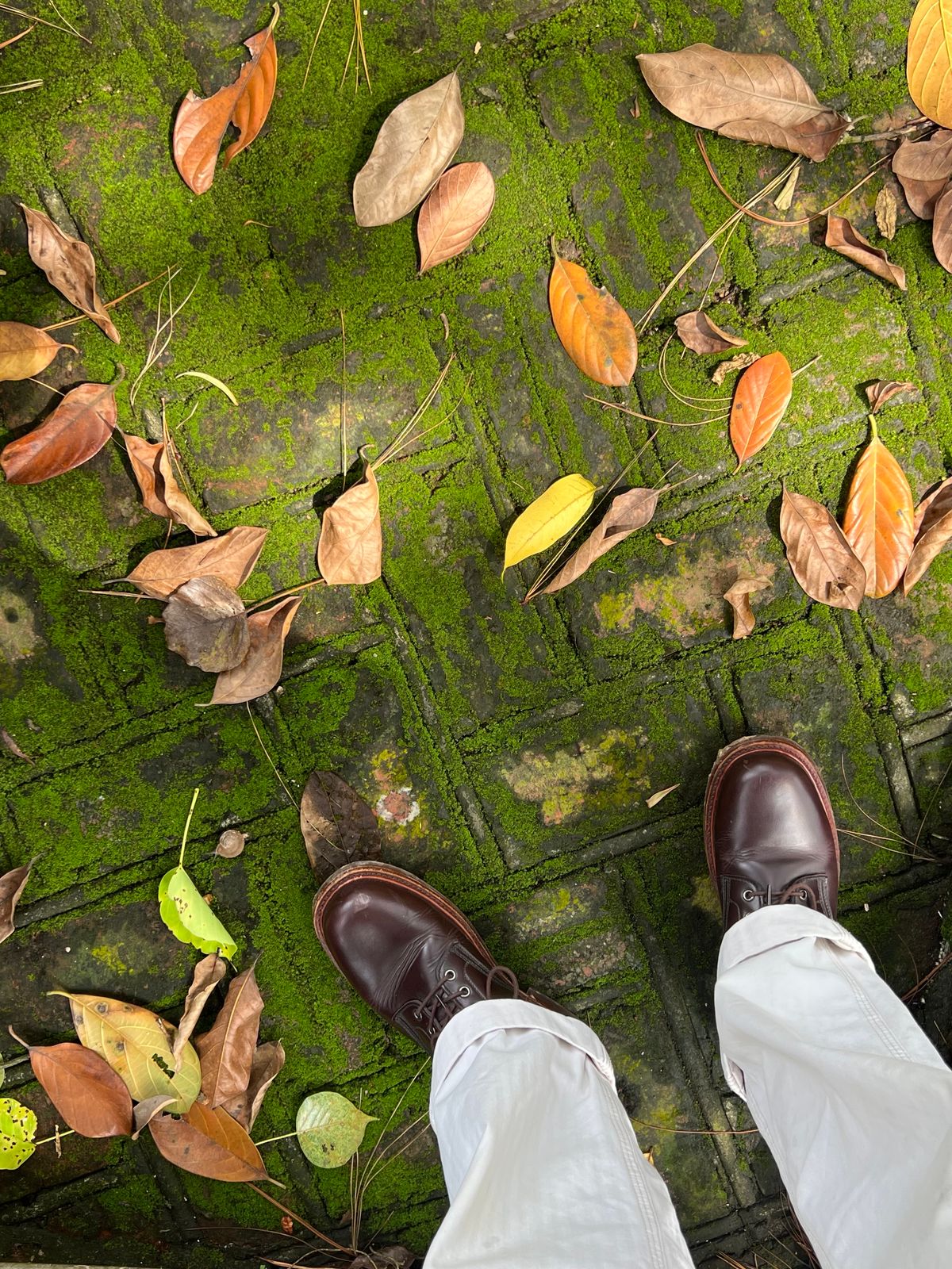 Photo by Dangil on October 16, 2025 of the Jakkrabbits Service Boot in Domestic Dark Brown Pull Up.