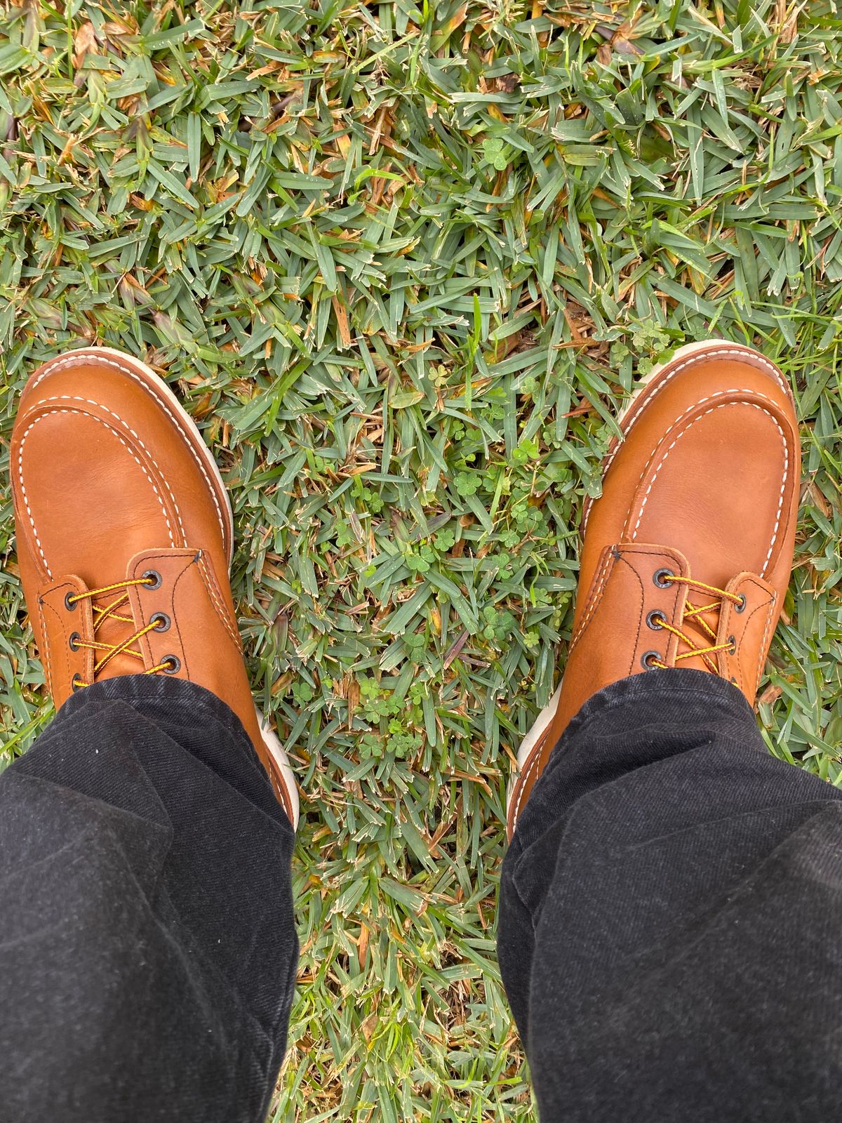 Photo by Andreas_V on December 25, 2025 of the Red Wing 10875 in S.B. Foot Oro-riginal leather.