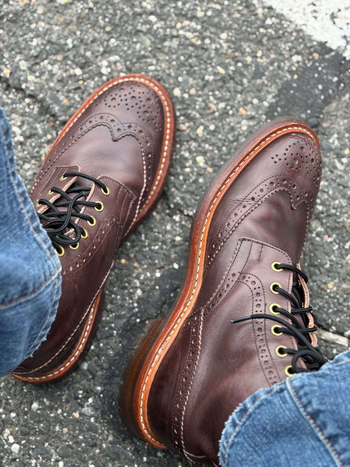 Photo by Opello on April 18, 2026 of the Tricker's Stow Country Boot in Espresso Burnished Calf.