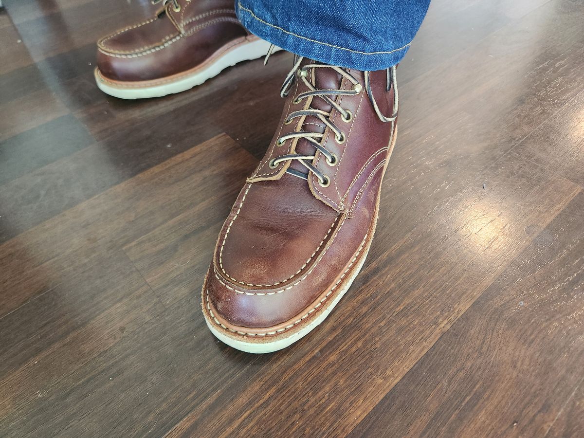 Photo by Tieric on June 1, 2025 of the White's Perry 6" Select in Seidel British Tan Double Shot.