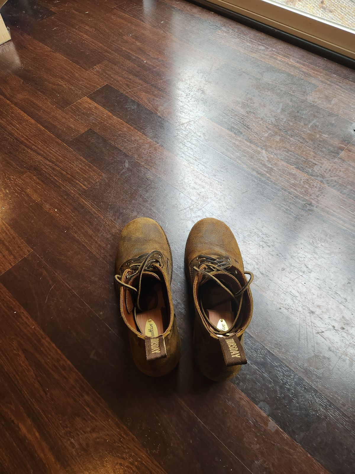 Photo by Tieric on June 21, 2025 of the Thursday Brawler in C.F. Stead Bronze Brown Rambler.