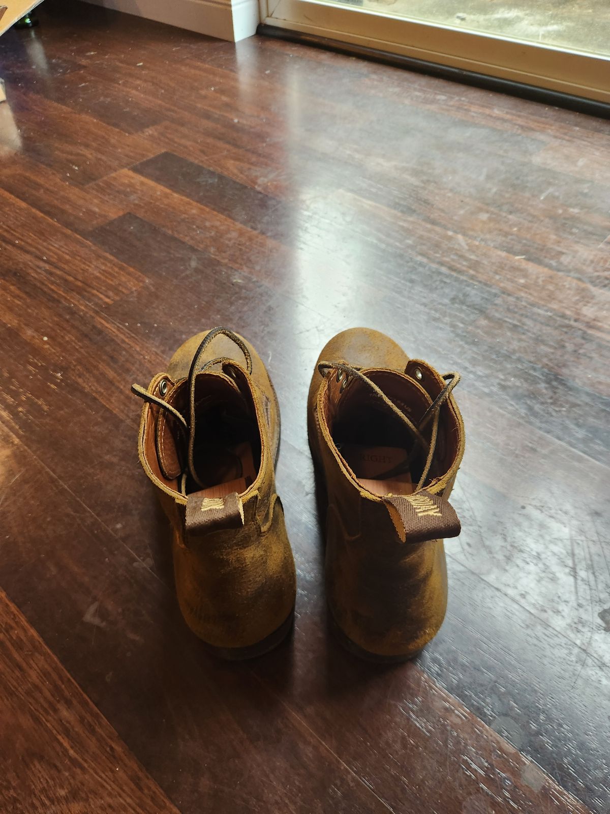 Photo by Tieric on June 21, 2025 of the Thursday Brawler in C.F. Stead Bronze Brown Rambler.