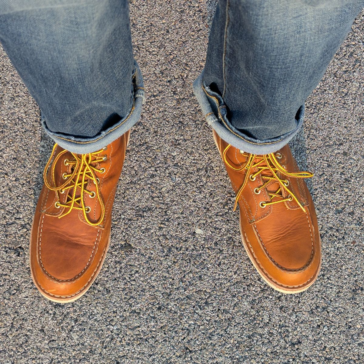 Photo by habibiboots7 on July 31, 2025 of the White's Perry 6" Select in Seidel Tobacco Stampede.
