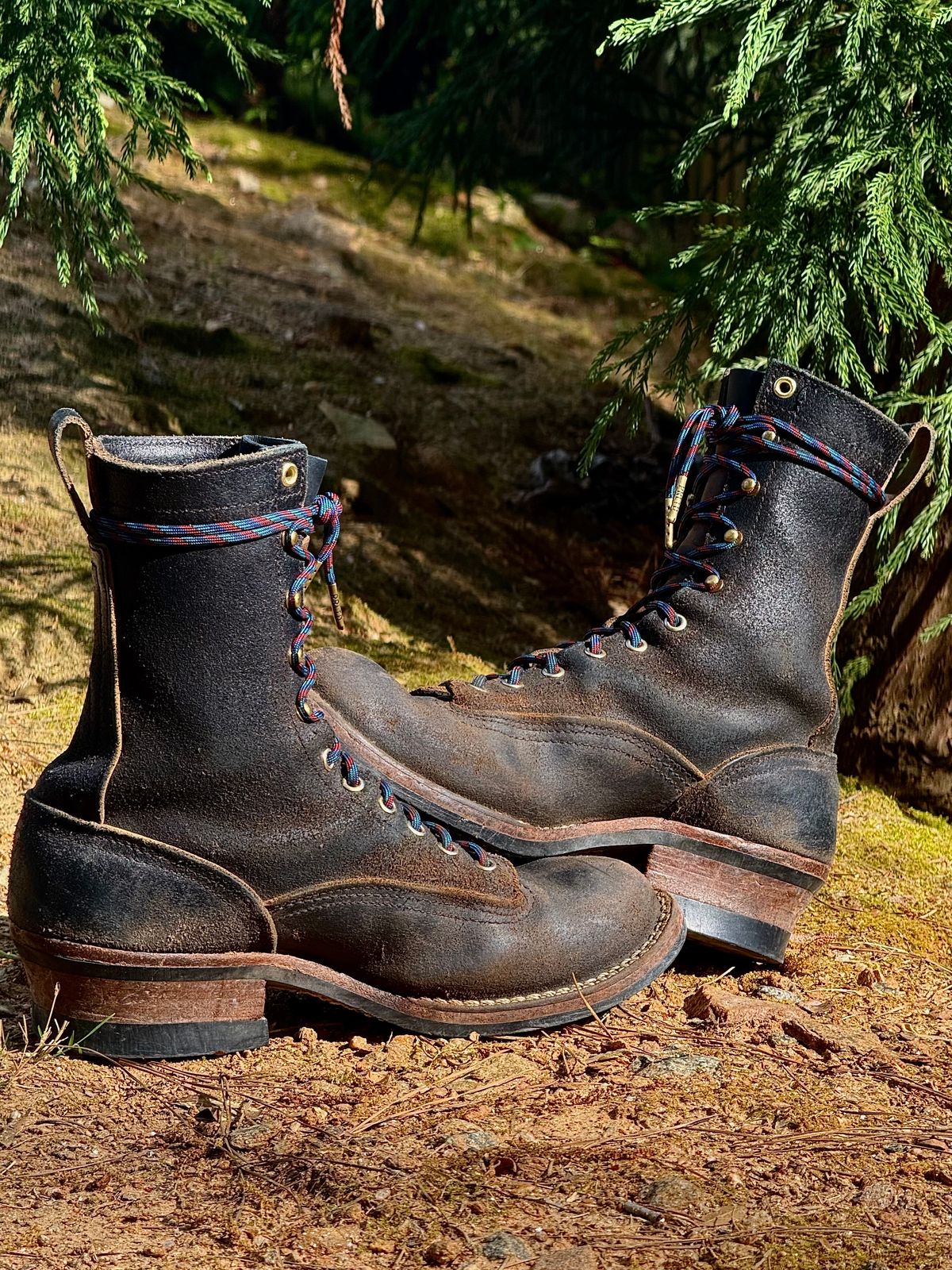 Photo by saintnick on April 5, 2025 of the Nicks LTT Heritage in Horween Black Waxed Flesh.
