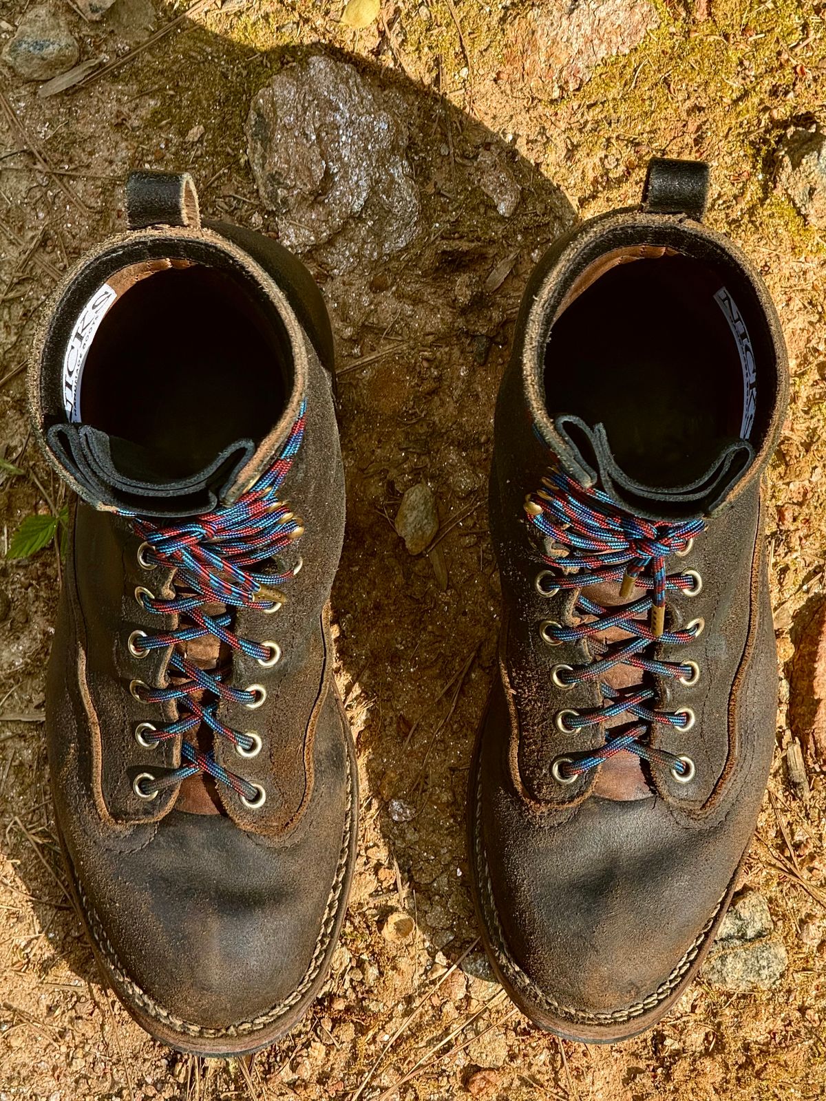 Photo by saintnick on April 5, 2025 of the Nicks LTT Heritage in Horween Black Waxed Flesh.
