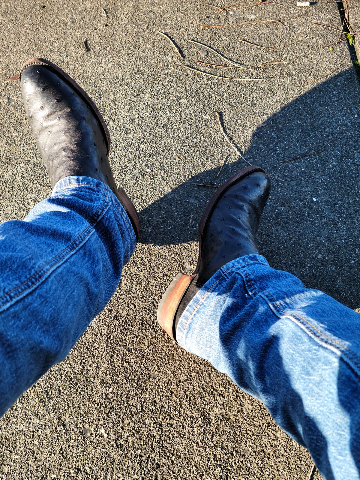 Photo by worstNA on December 13, 2025 of the Jk Western Doc in Black Ostrich.