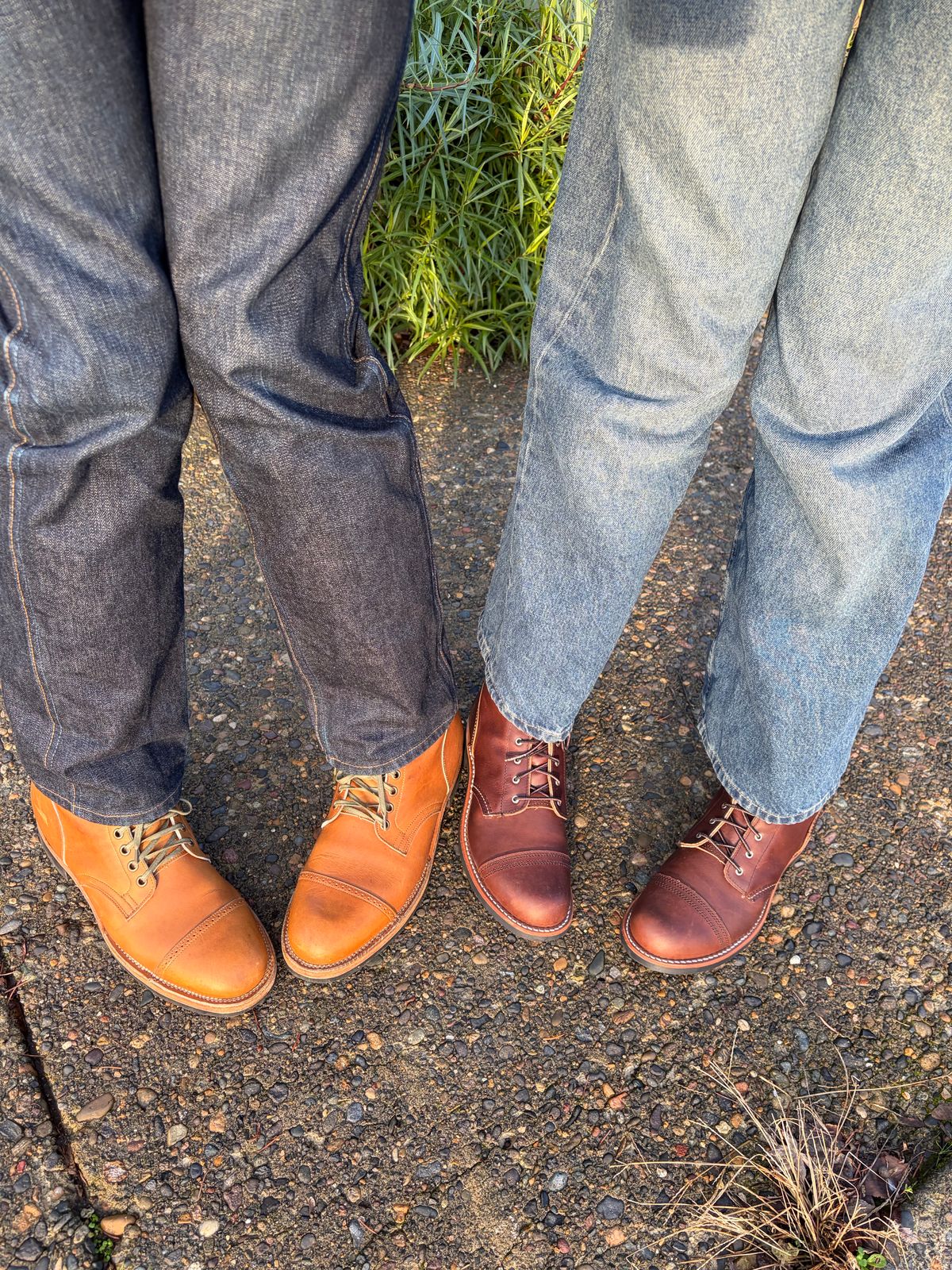 Photo by zoggyzoup on December 25, 2025 of the Red Wing Iron Ranger in S.B. Foot Amber Harness.