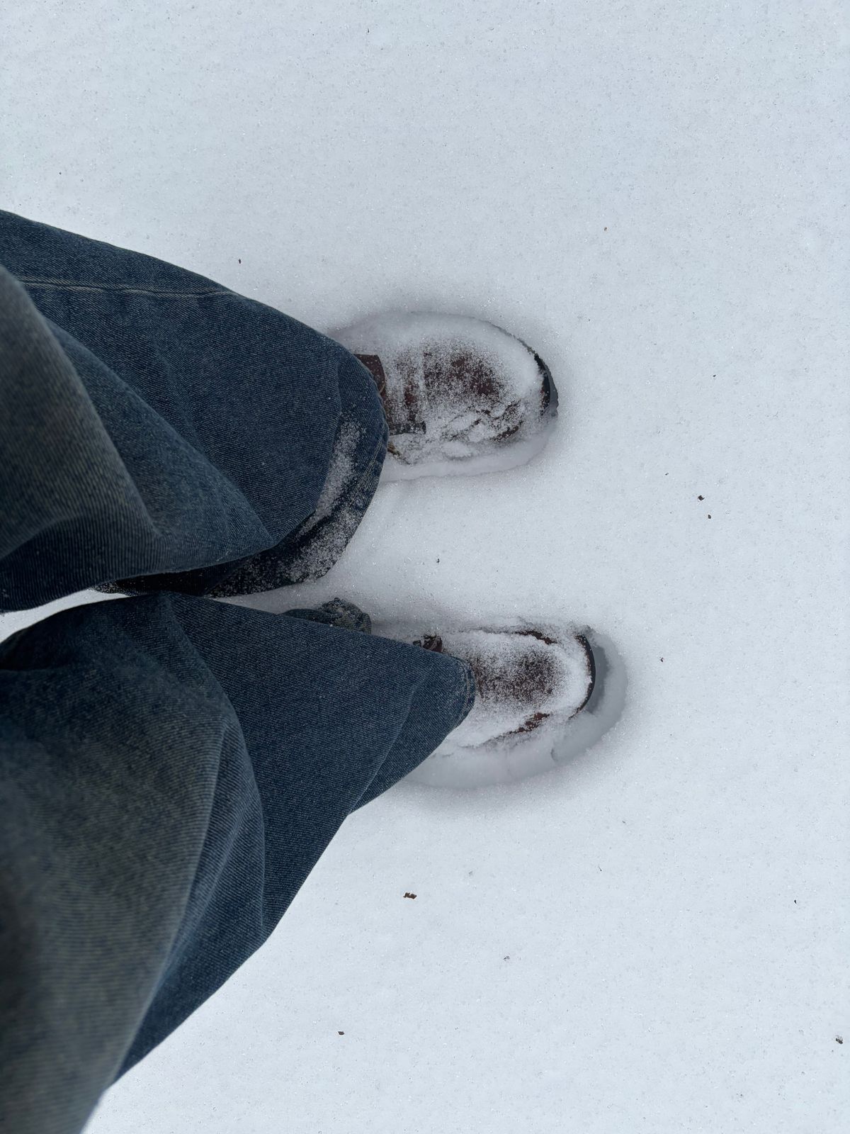 Photo by zoggyzoup on January 25, 2026 of the Red Wing Iron Ranger in S.B. Foot Amber Harness.