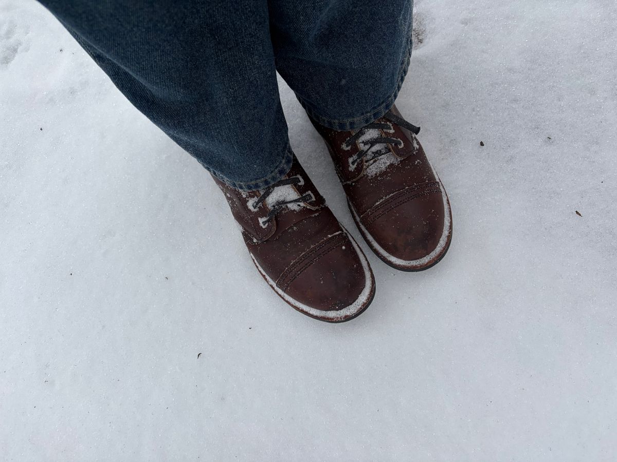 Photo by zoggyzoup on January 25, 2026 of the Red Wing Iron Ranger in S.B. Foot Amber Harness.