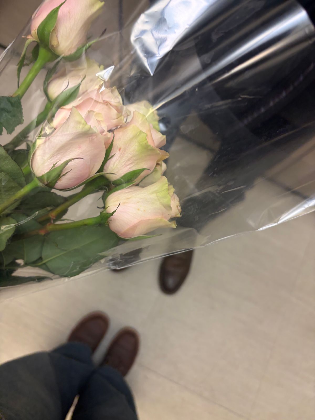 Photo by zoggyzoup on February 15, 2026 of the Red Wing Iron Ranger in S.B. Foot Amber Harness.