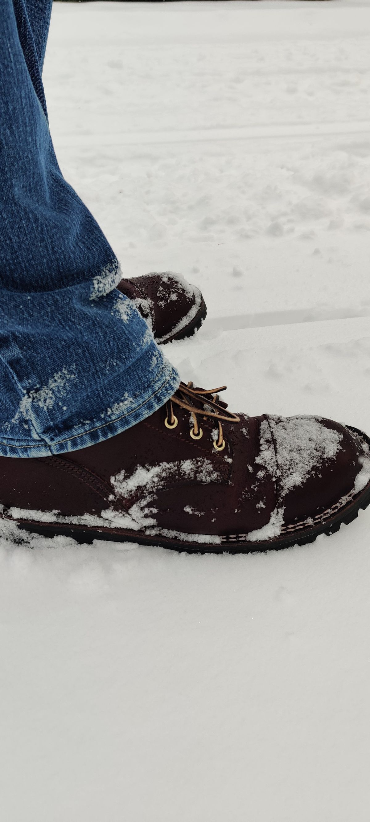 Photo by foxtrot on January 14, 2025 of the Nicks 365 Stitchdown in Horween Color 8 Cypress.