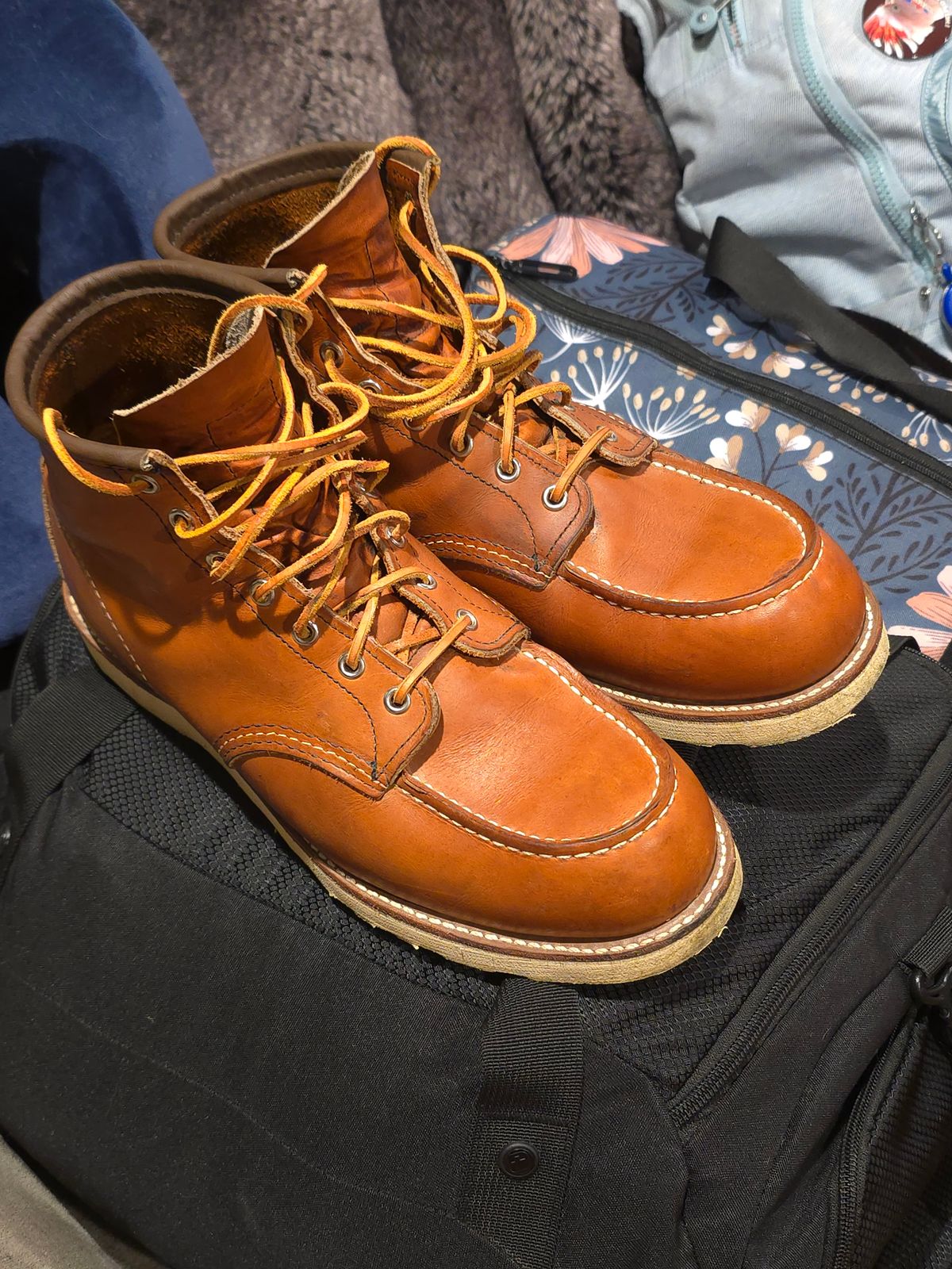 Photo by TheRedWingerDinger on October 9, 2025 of the Red Wing 875 in S.B. Foot Oro Legacy.