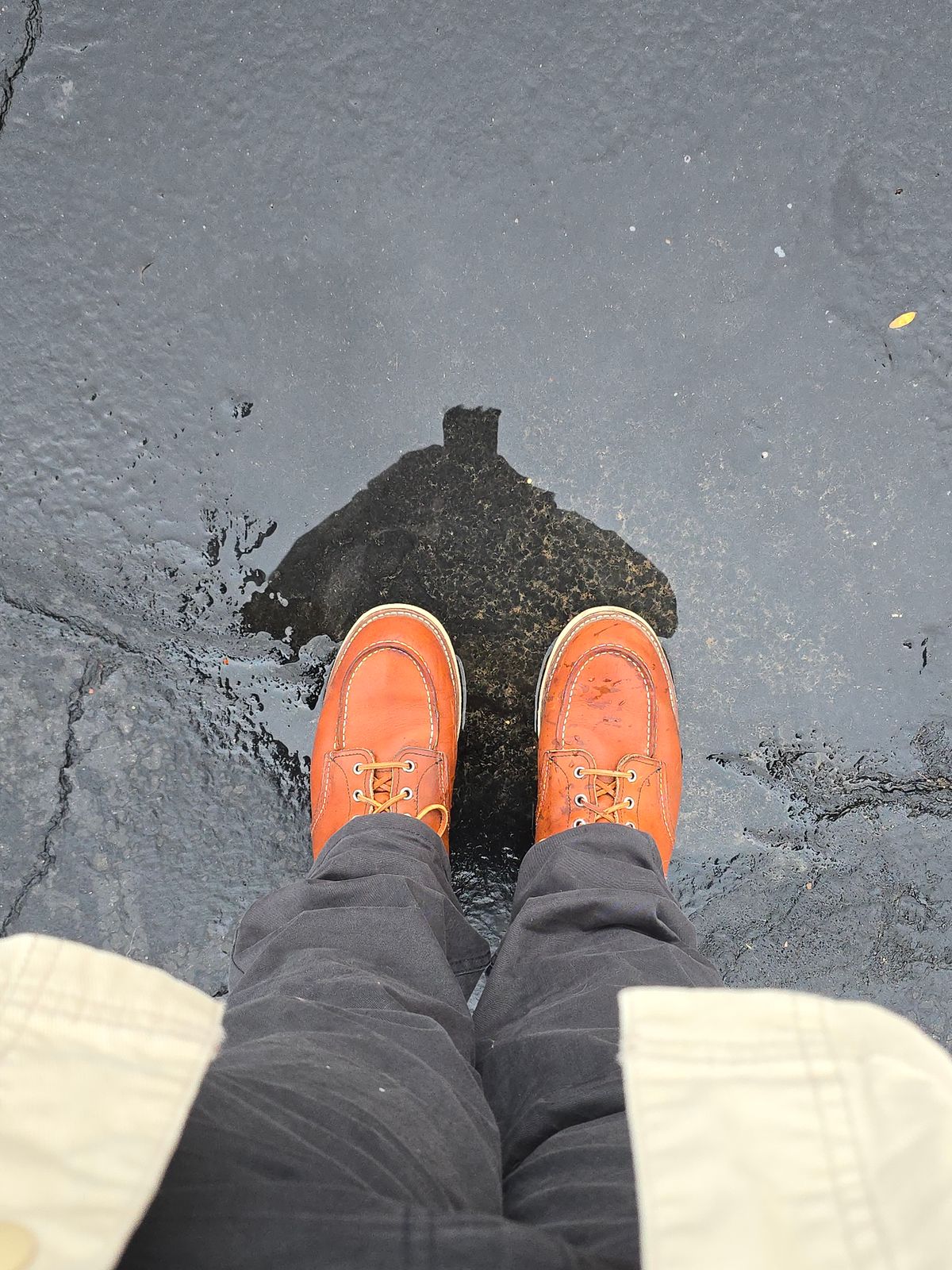 Photo by TheRedWingerDinger on October 13, 2025 of the Red Wing 875 in S.B. Foot Oro Legacy.