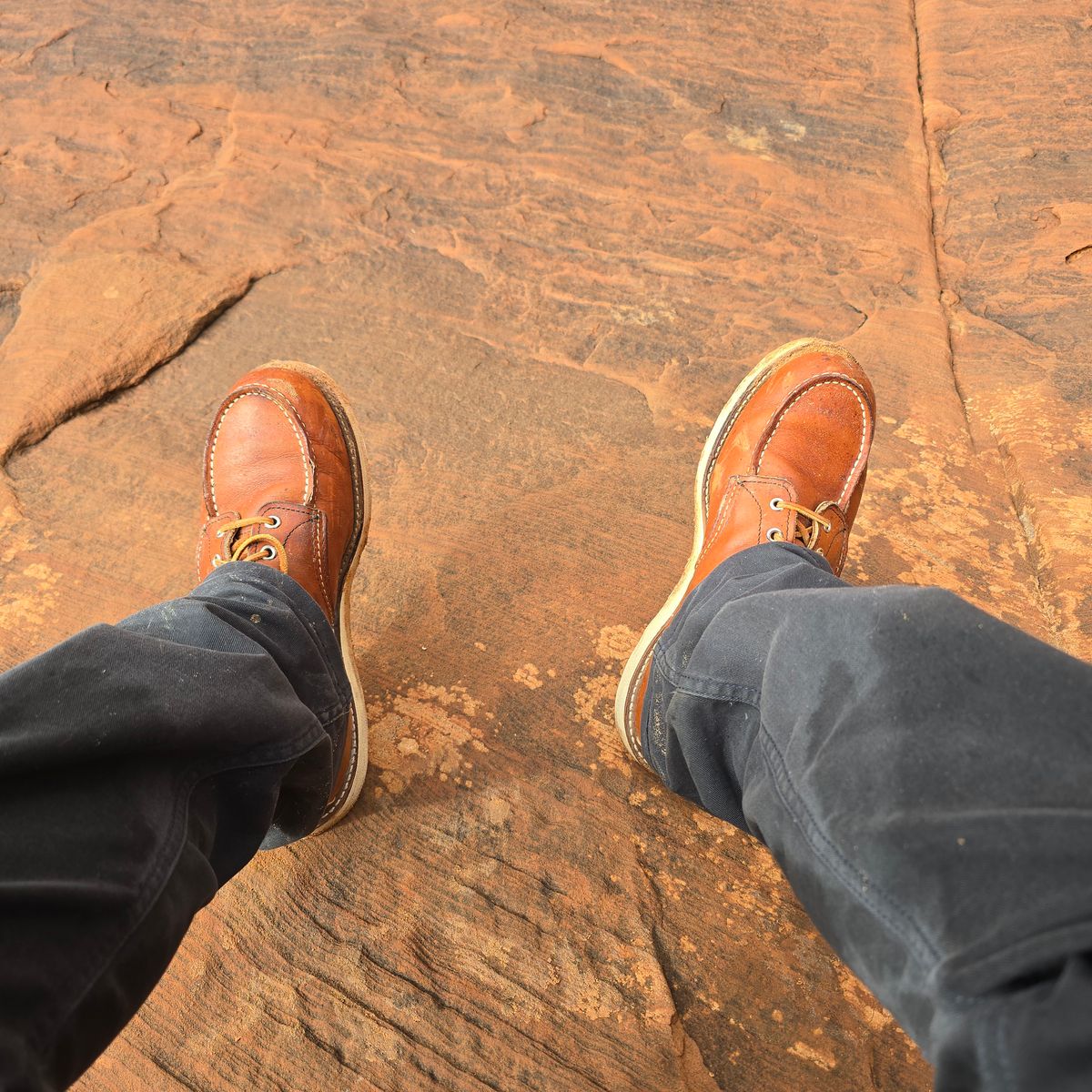 Photo by TheRedWingerDinger on October 13, 2025 of the Red Wing 875 in S.B. Foot Oro Legacy.