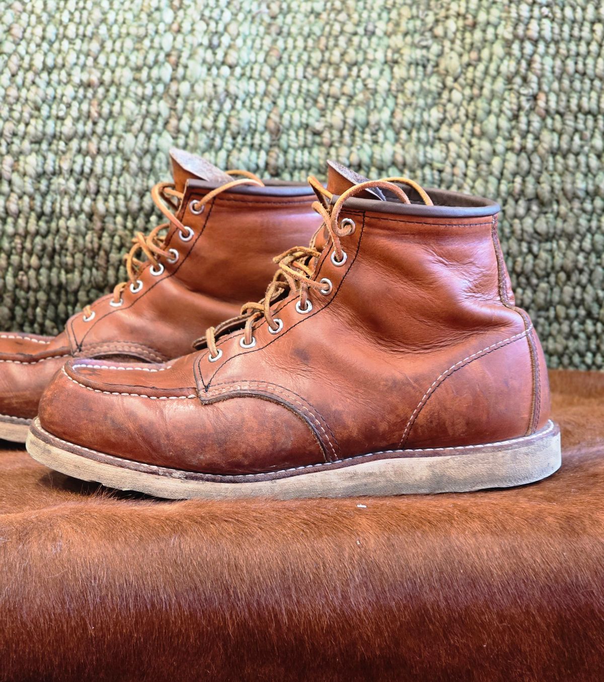 Photo by TheRedWingerDinger on December 4, 2025 of the Red Wing 875 in S.B. Foot Oro Legacy.