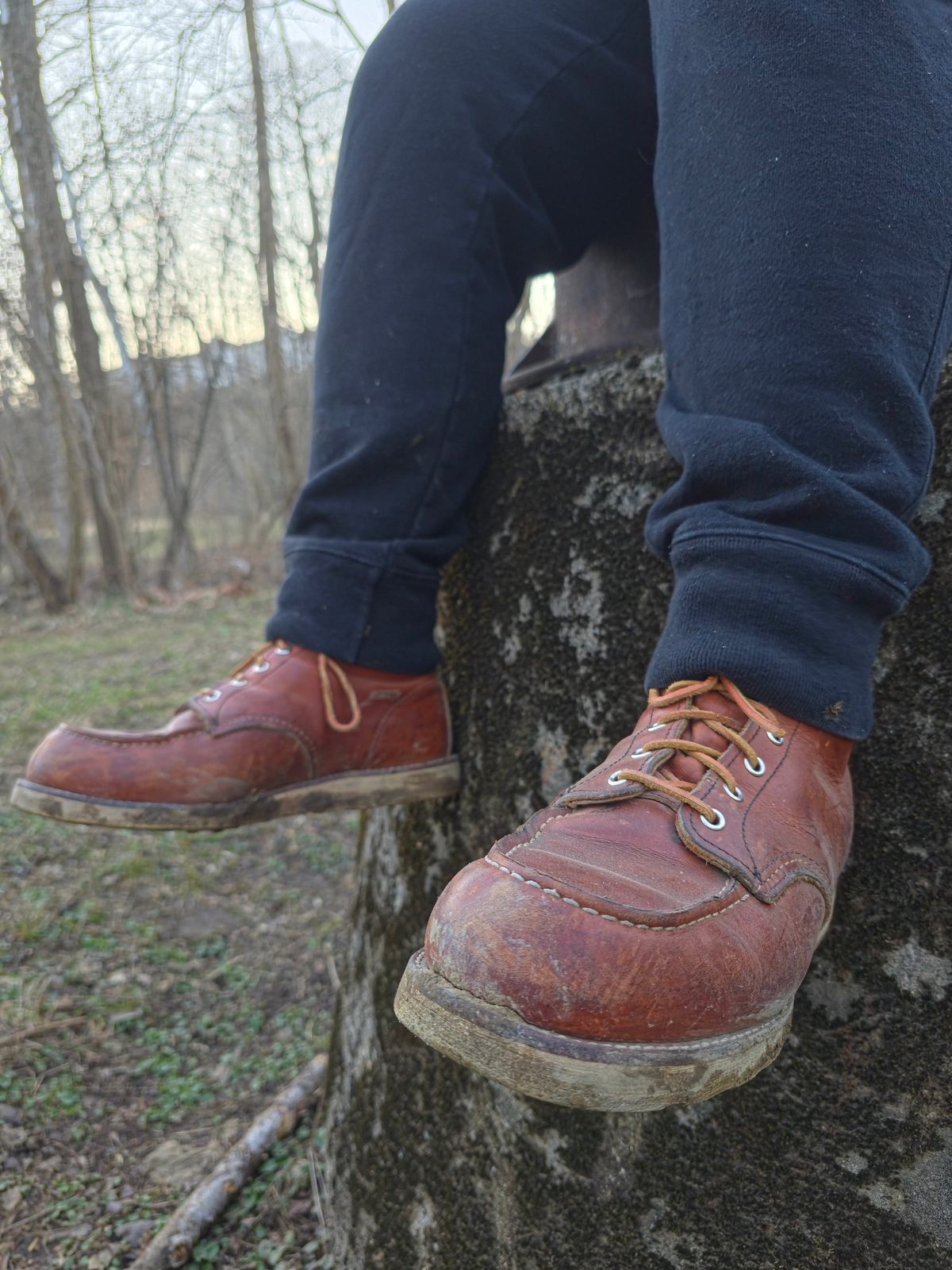 Photo by TheRedWingerDinger on February 27, 2026 of the Red Wing 875 in S.B. Foot Oro Legacy.