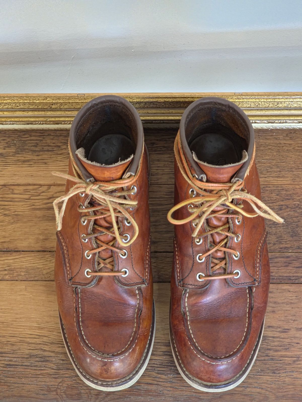 Photo by TheRedWingerDinger on April 5, 2026 of the Red Wing 875 in S.B. Foot Oro Legacy.