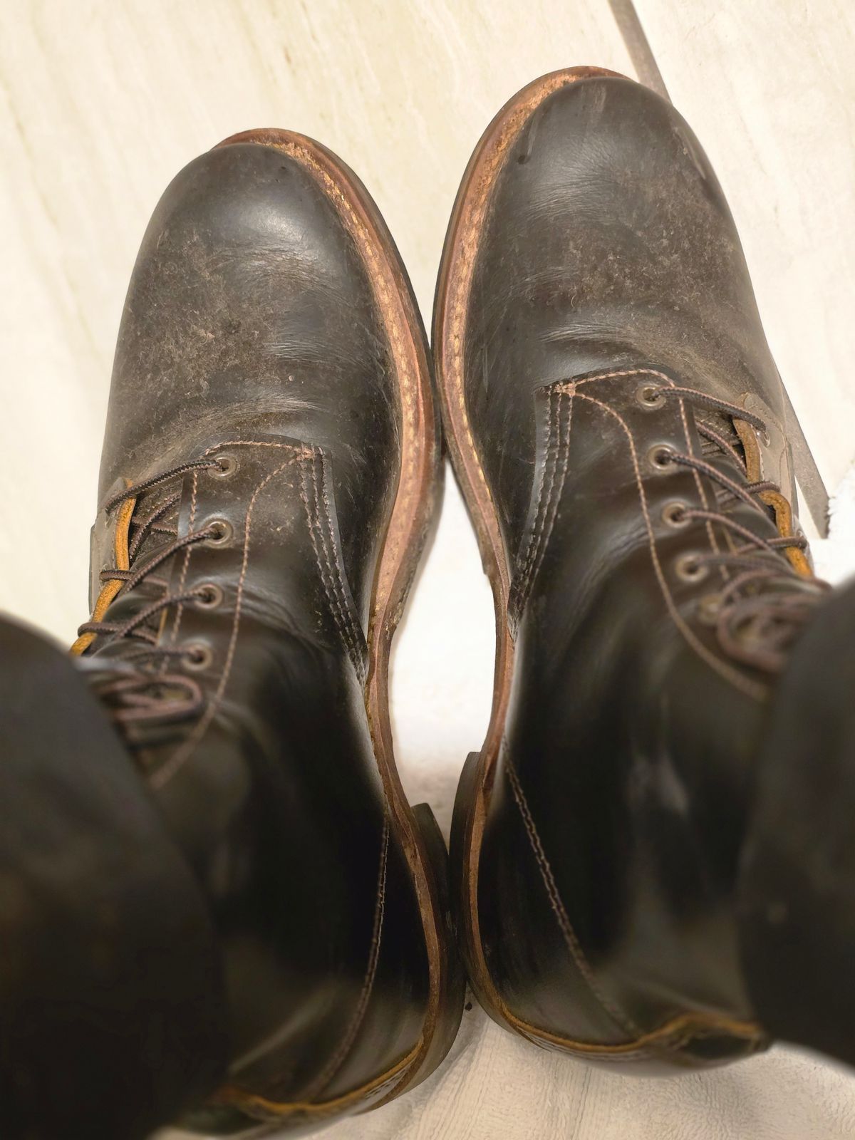 Photo by TheRedWingerDinger on October 12, 2025 of the Red Wing Beckman Flatbox in S.B. Foot Black Klondike.