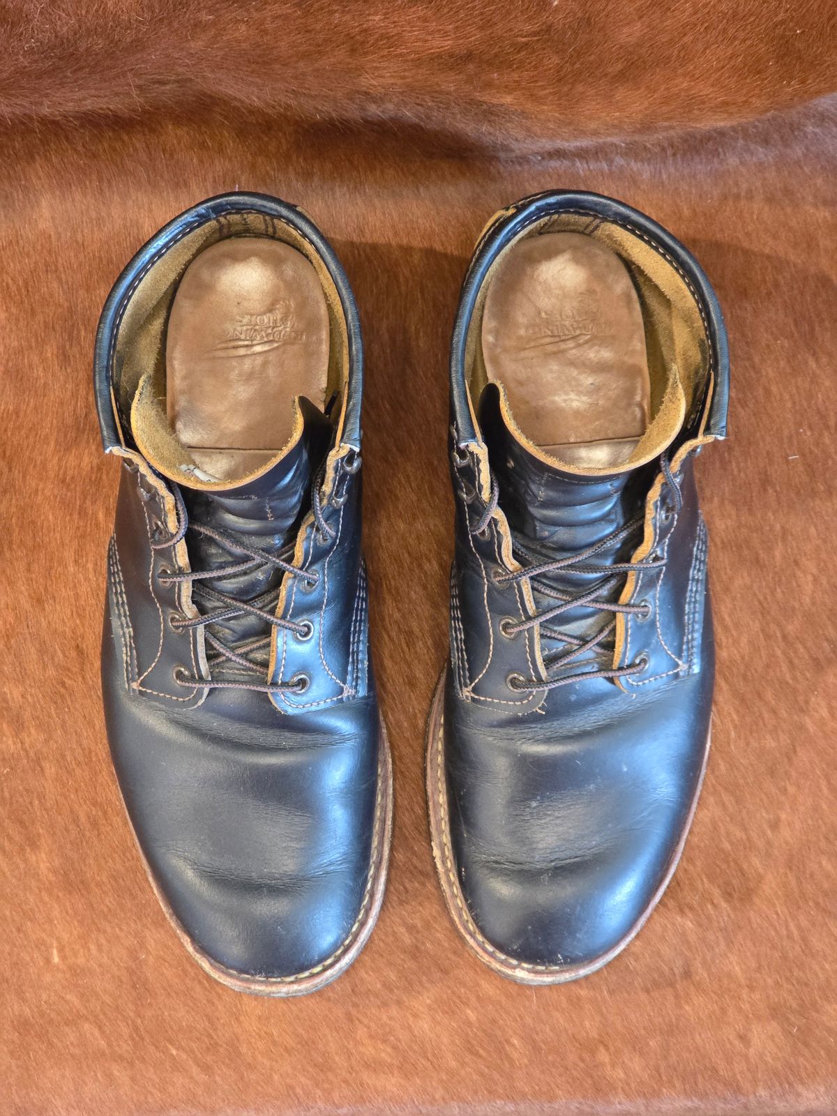 Photo by TheRedWingerDinger on December 4, 2025 of the Red Wing Beckman Flatbox in S.B. Foot Black Klondike.