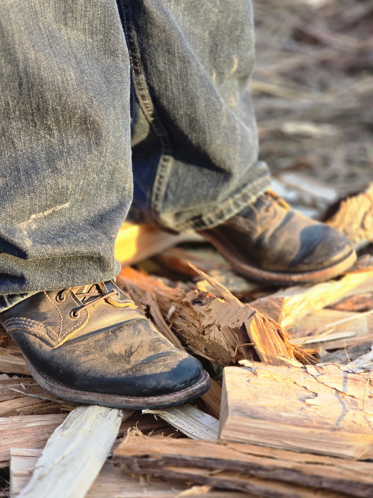 Photo by TheRedWingerDinger on January 22, 2026 of the Red Wing Beckman Flatbox in S.B. Foot Black Klondike.