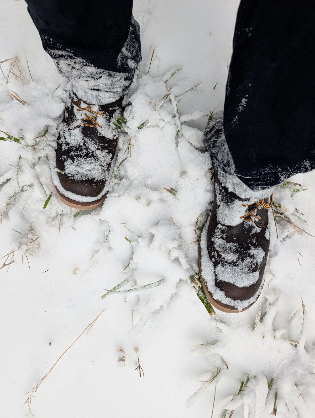 Photo by JY on January 5, 2025 of the Nicks MTO in Horween Brown Waxed Flesh.