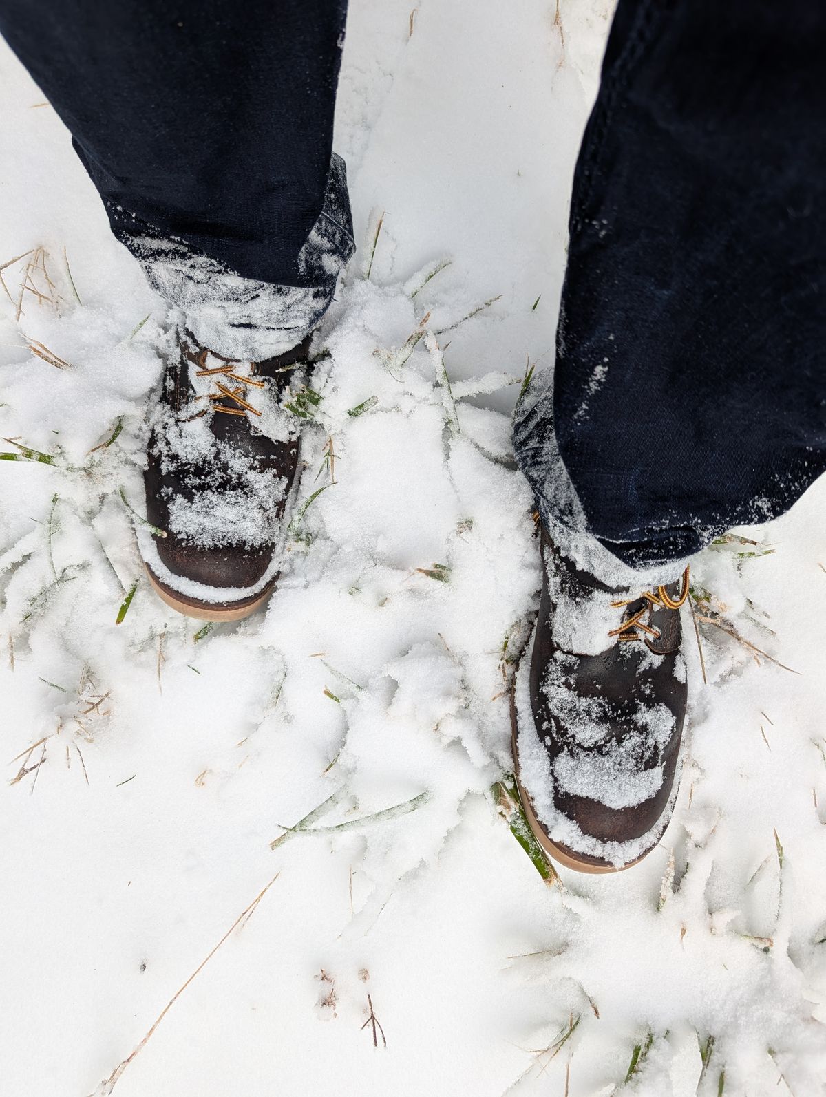 Photo by JY on January 4, 2025 of the Nicks MTO in Horween Brown Waxed Flesh.