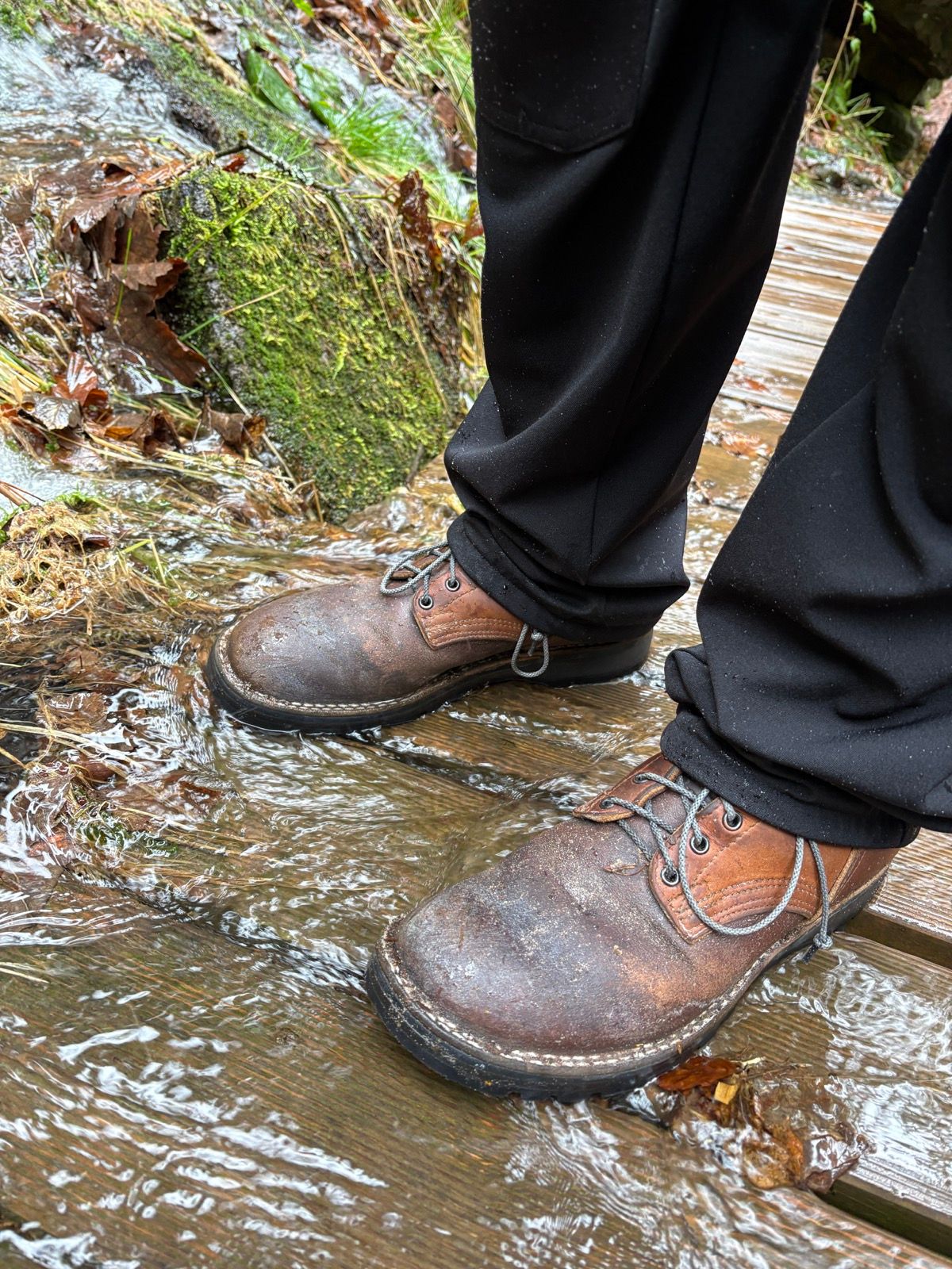 Photo by JY on March 5, 2026 of the Nicks MTO in Spokane Honey & Spokane Honey Waxed Flesh.