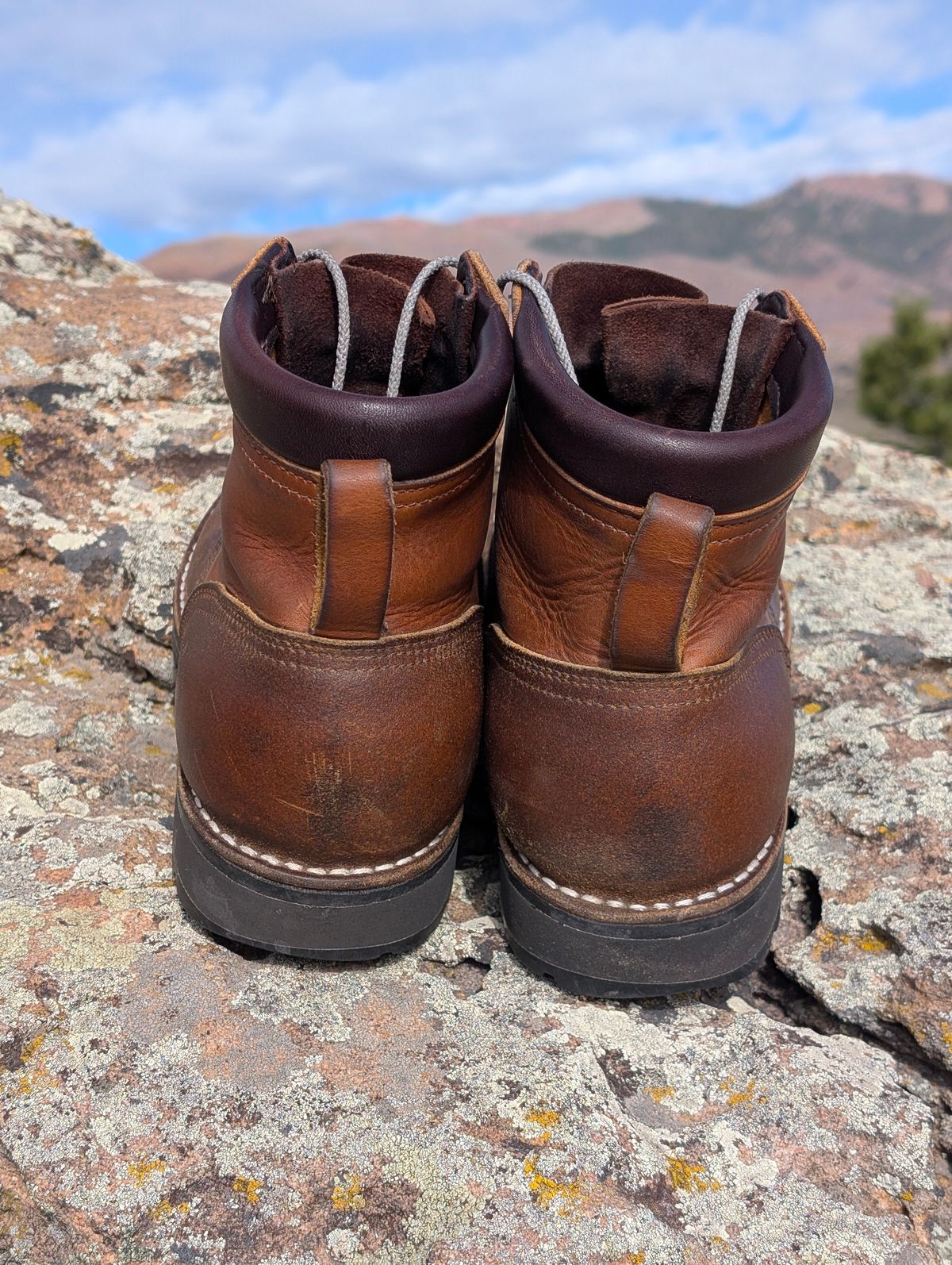 Photo by JY on April 3, 2026 of the Nicks MTO in Spokane Honey & Spokane Honey Waxed Flesh.