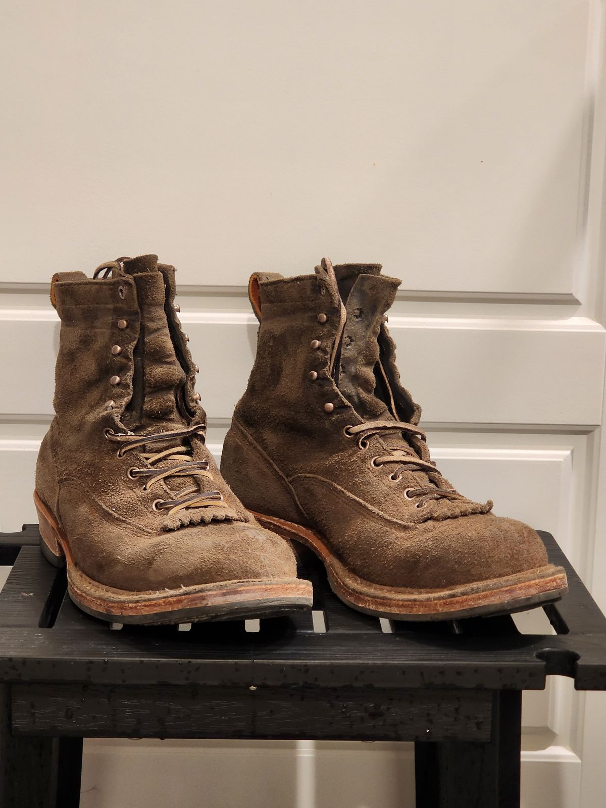 Photo by Randomlurker541 on March 5, 2026 of the White's 355 Cutter in Army Green Desert Oasis.