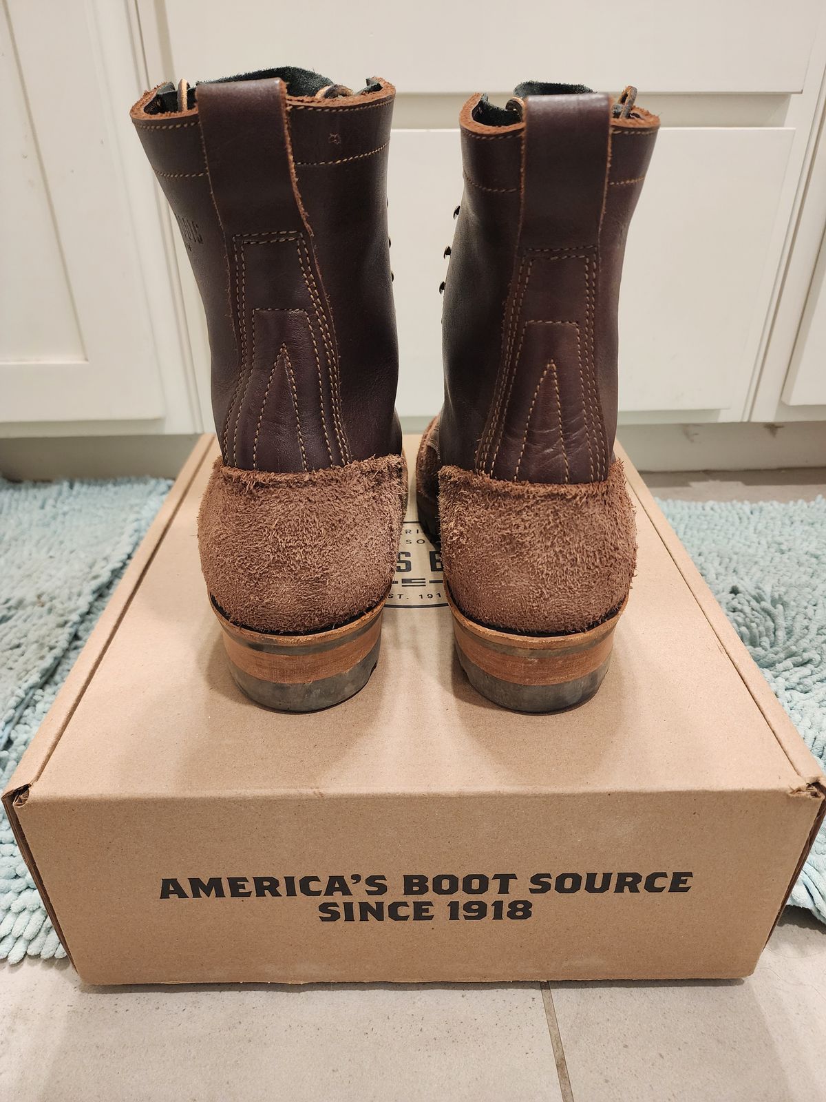 Photo by Randomlurker541 on November 3, 2024 of the Drew's Boots 8-Inch Logger in Brown Combo.