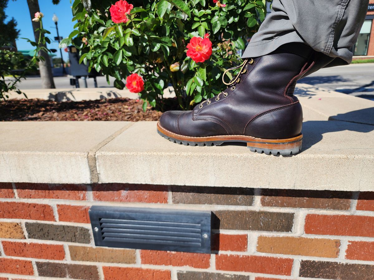 Photo by Randomlurker541 on October 6, 2025 of the Truman Upland Boot in Eastern Brown Snakebite.