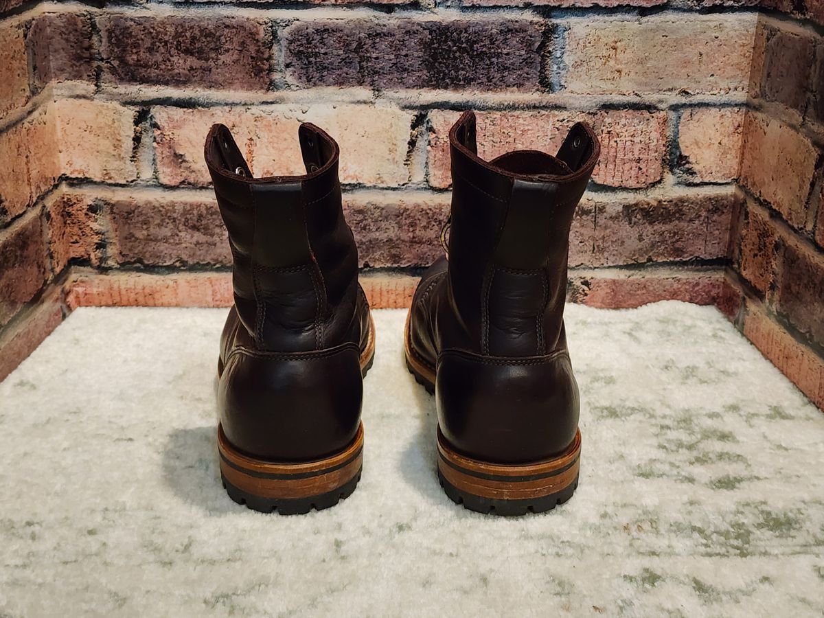 Photo by Randomlurker541 on November 4, 2025 of the Truman Upland Boot in Eastern Brown Snakebite.