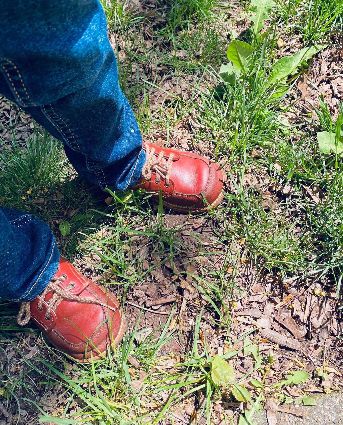 Photo by JT on March 16, 2024 of the Stride Rite Unknown Model in Full Grain.