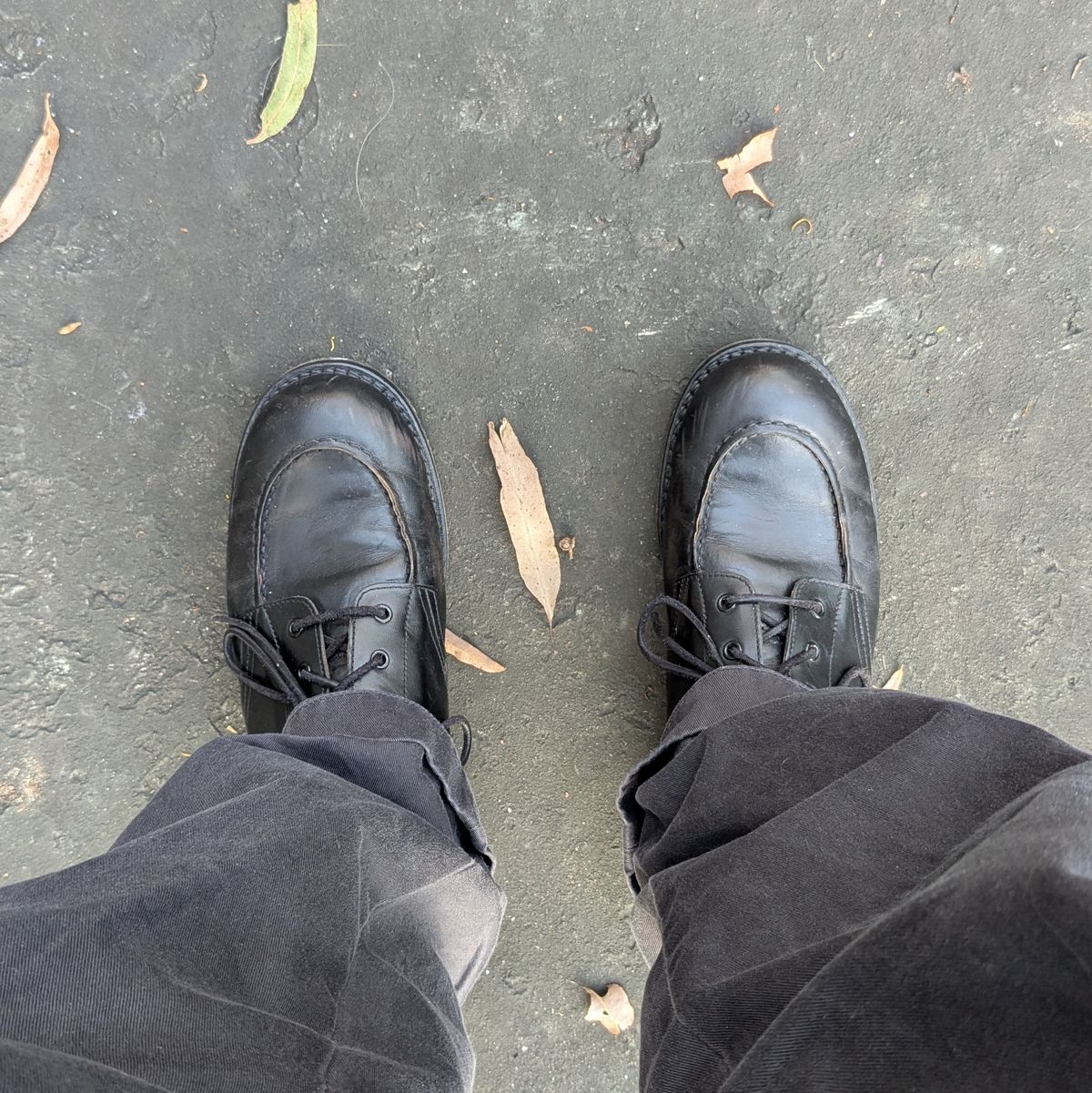 Photo by dante on October 13, 2025 of the Rolling Dub Trio Coupen Low Moc in Black Horse Front #1020.