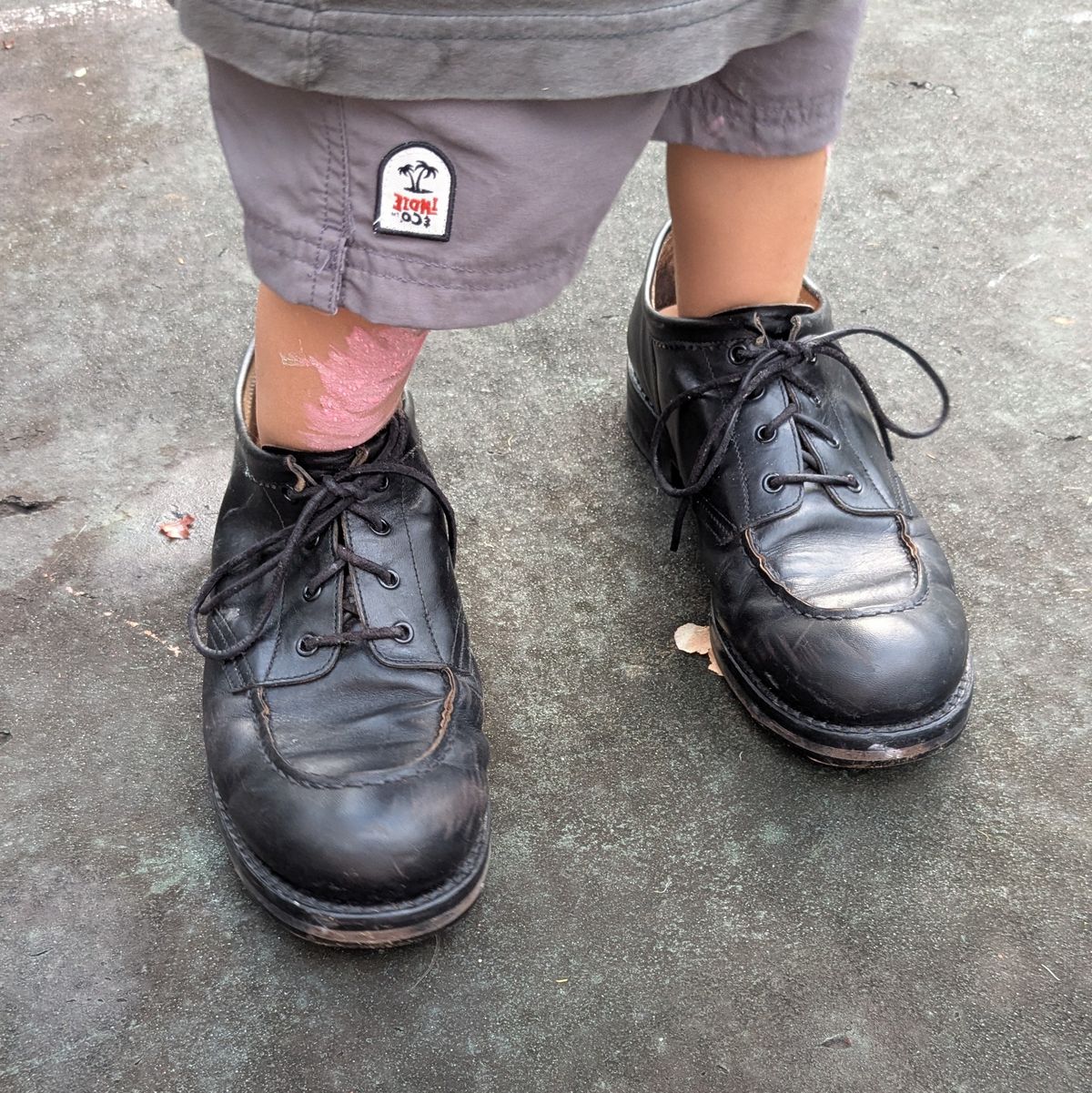 Photo by dante on November 1, 2025 of the Rolling Dub Trio Coupen Low Moc in Black Horse Front #1020.